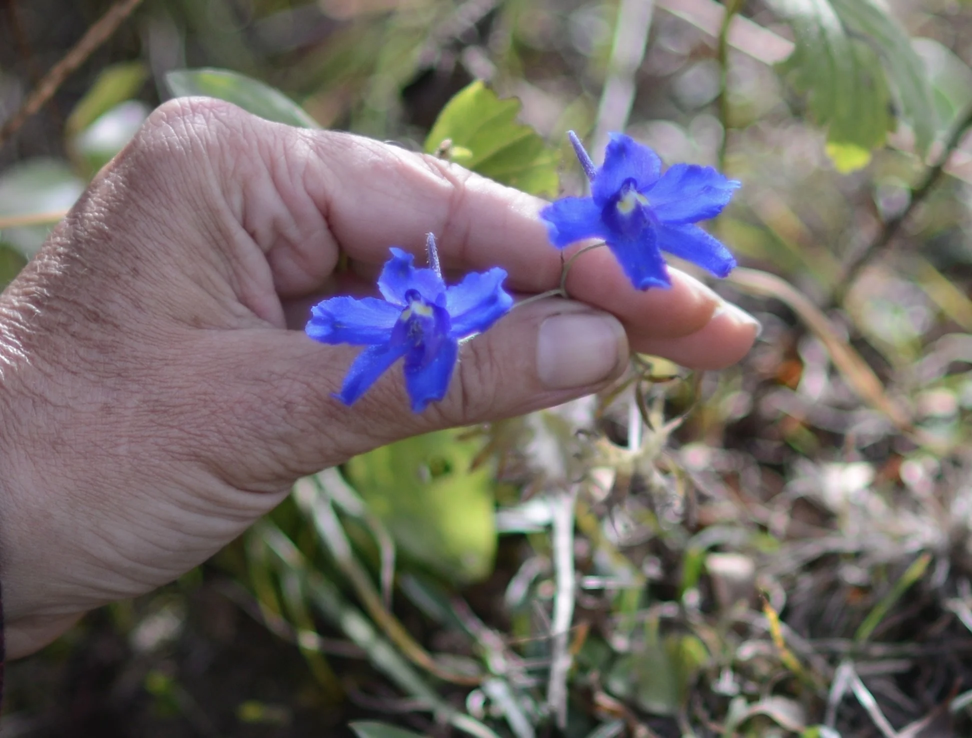 Journal Entry 10.20.23