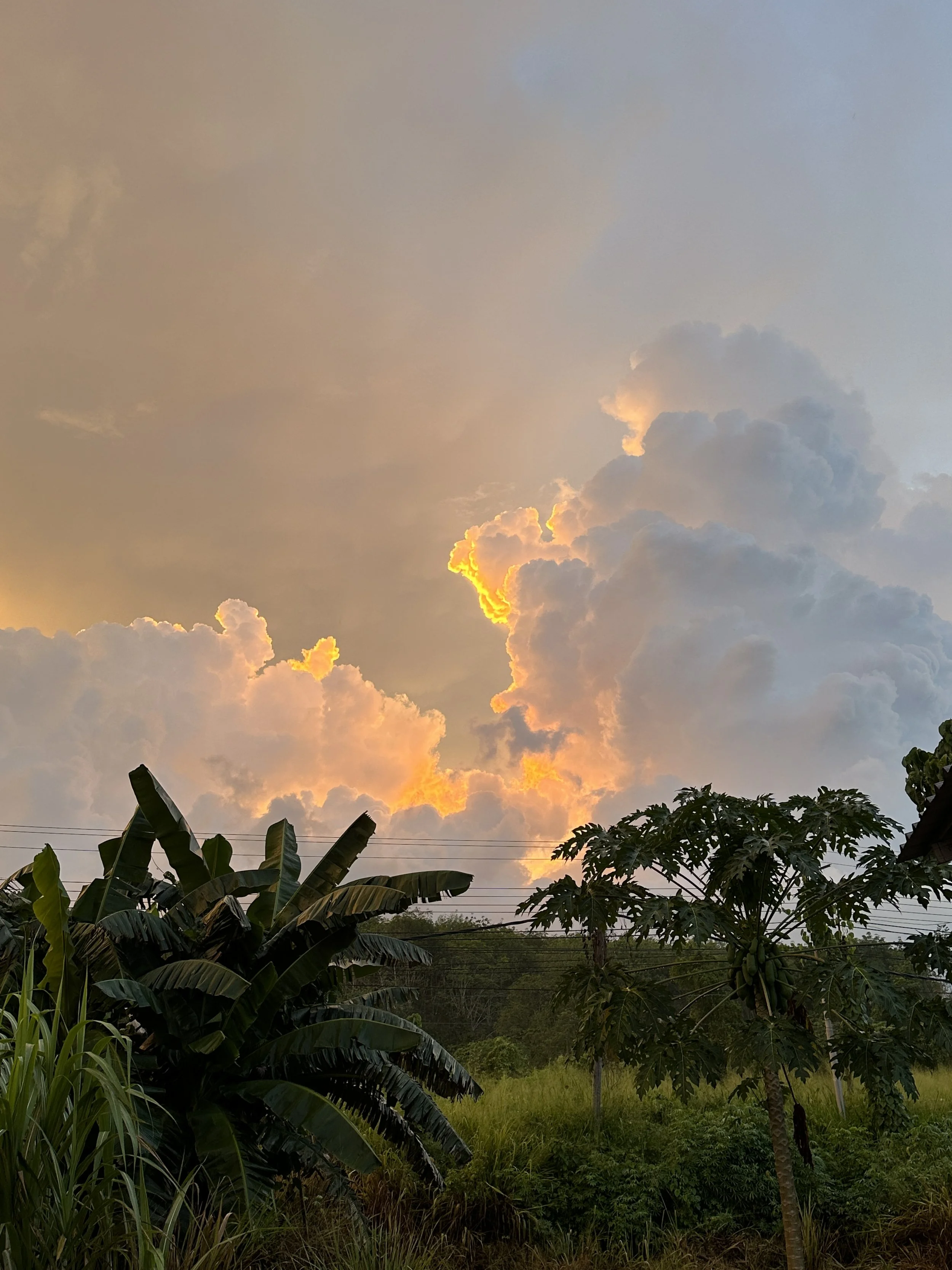 Journal Entry 11.4.23