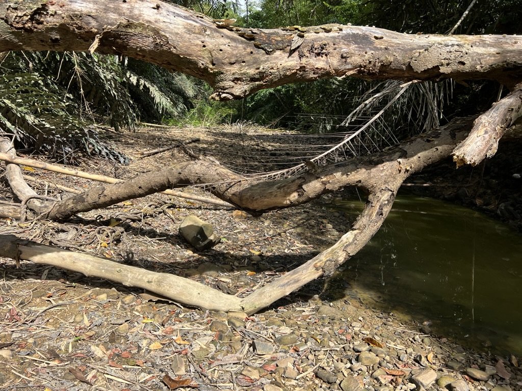 Journal Entry 11.8.23