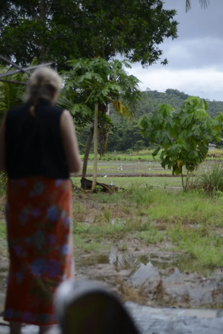 Journal Entry 11.11.23