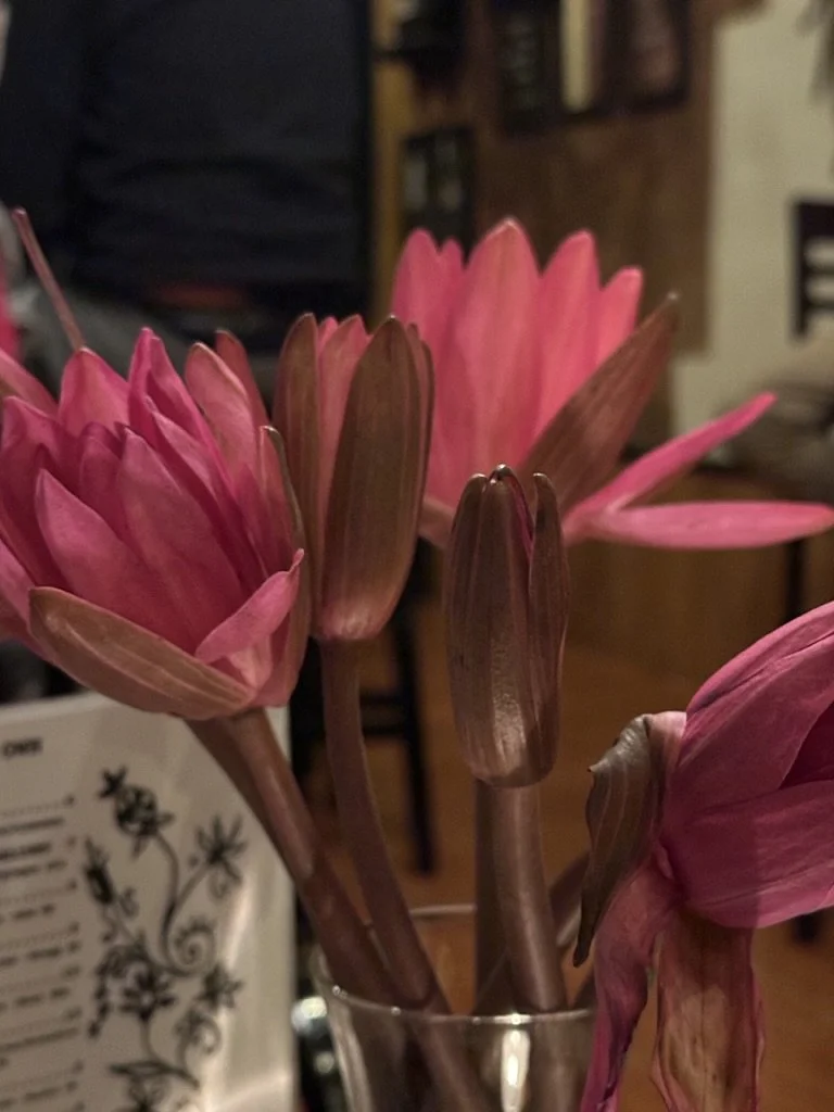 Journal Entry 11.28.23