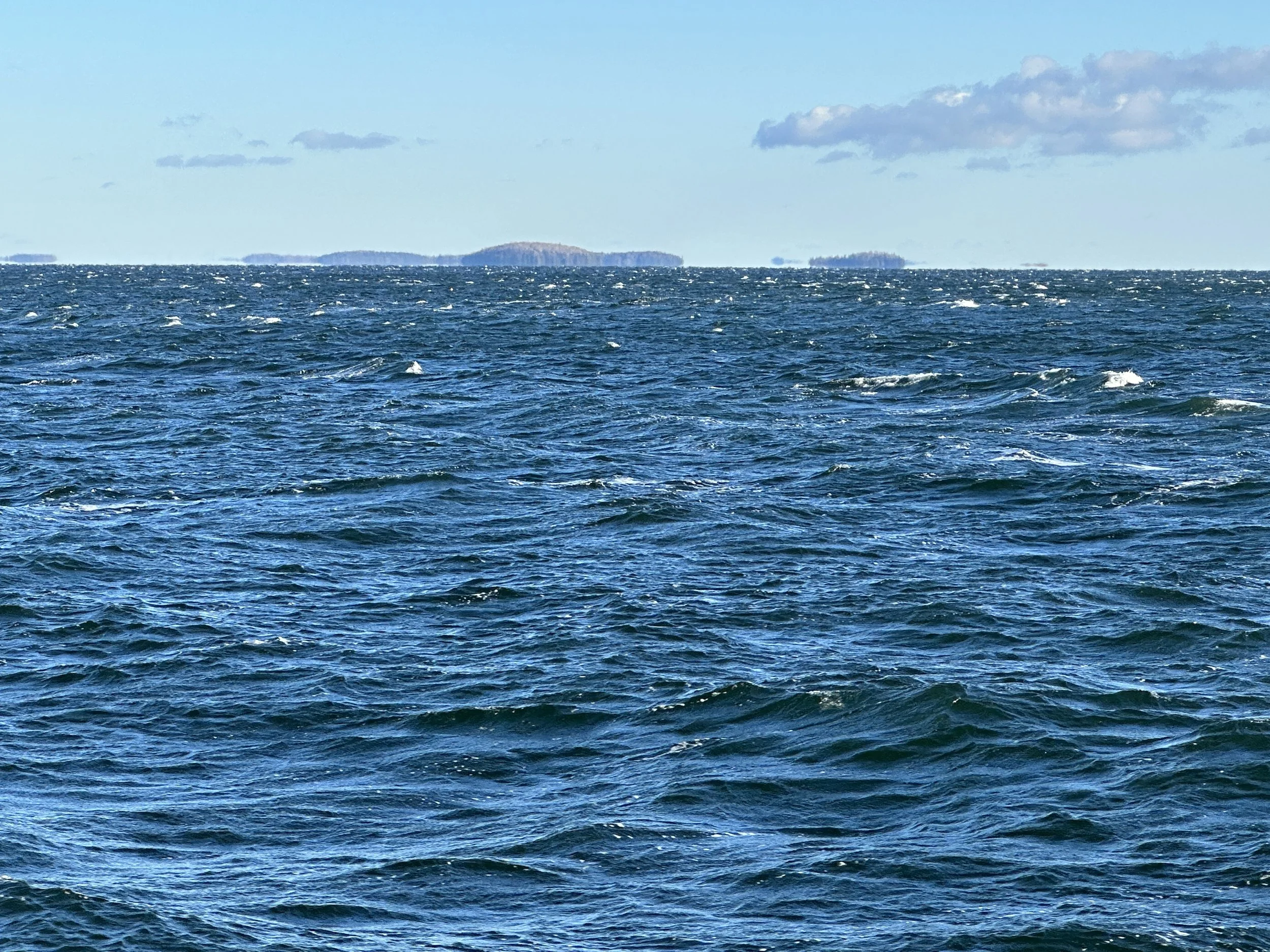 Journal Entry 11.29.23