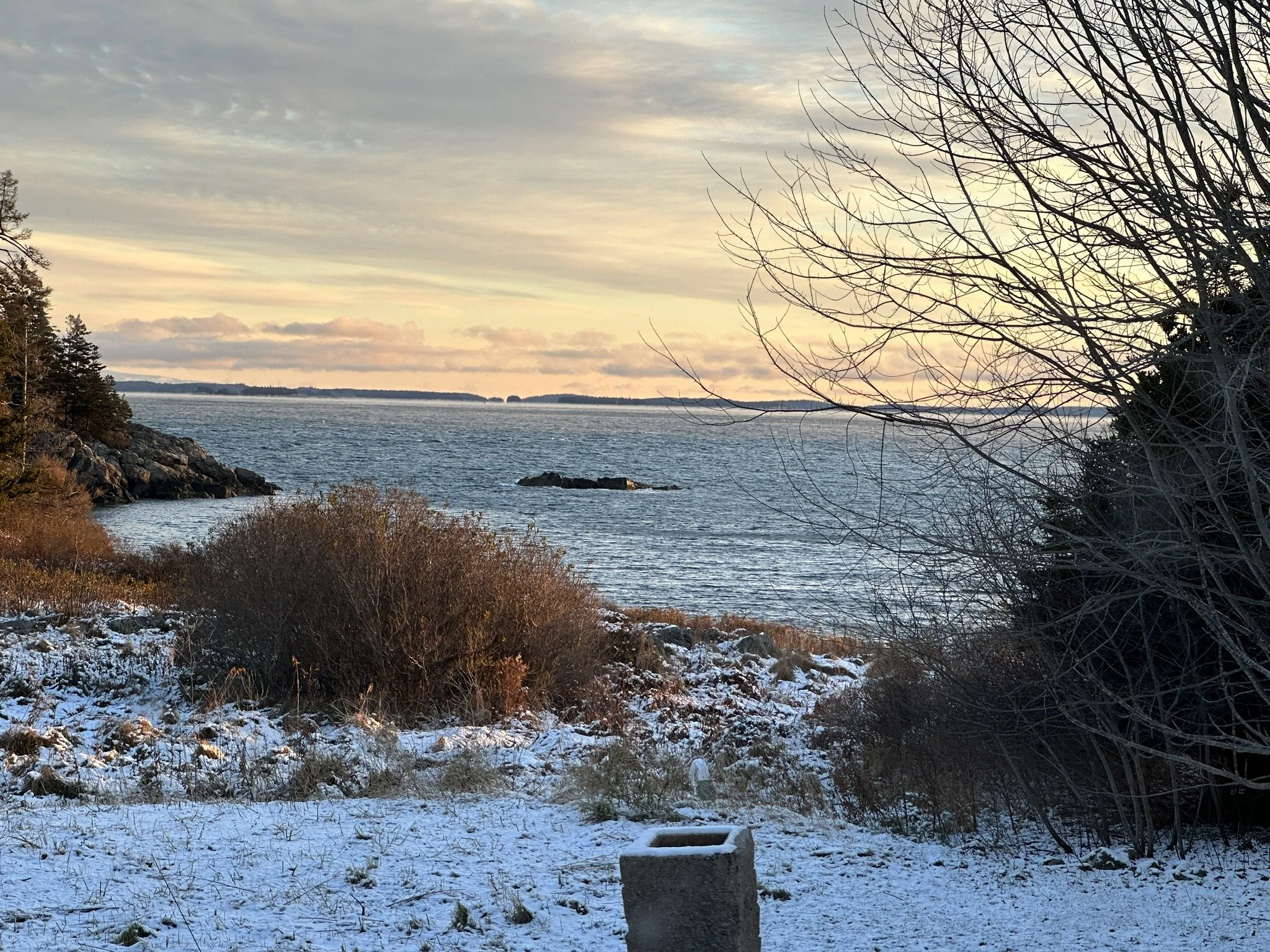 Journal Entry 11.30.23