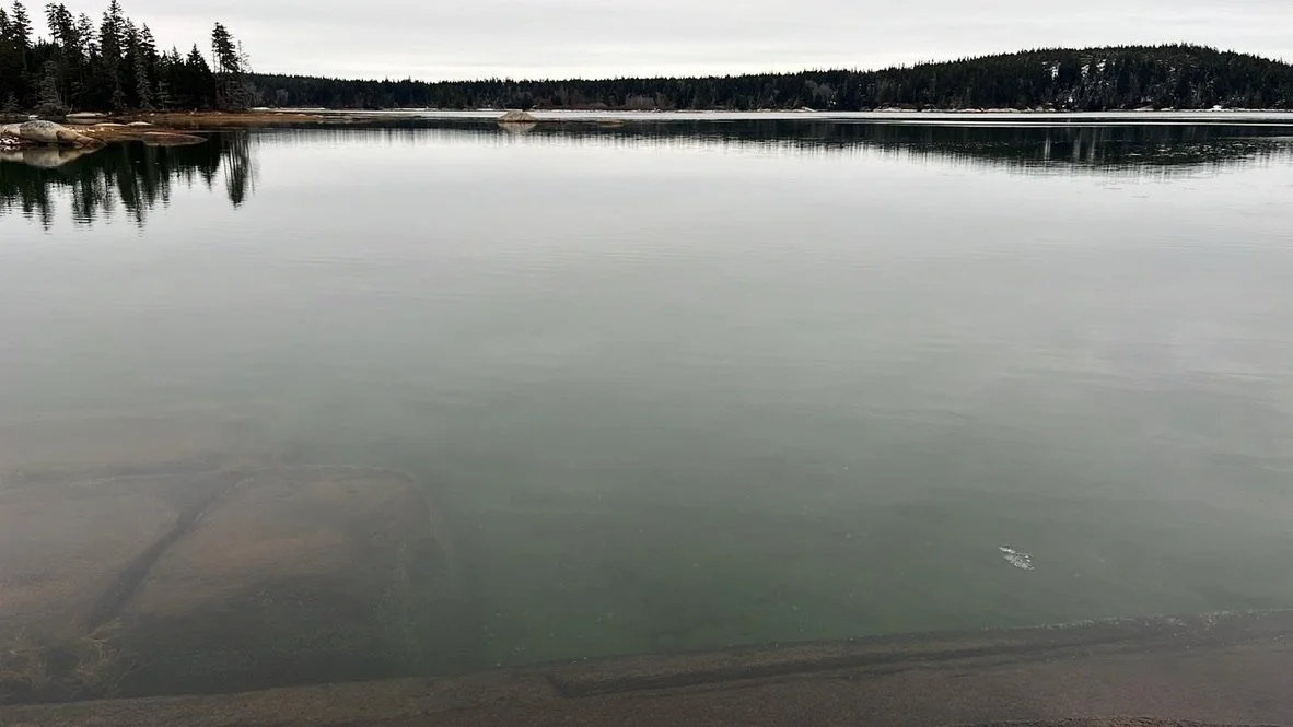 Journal Entry 12.3.23