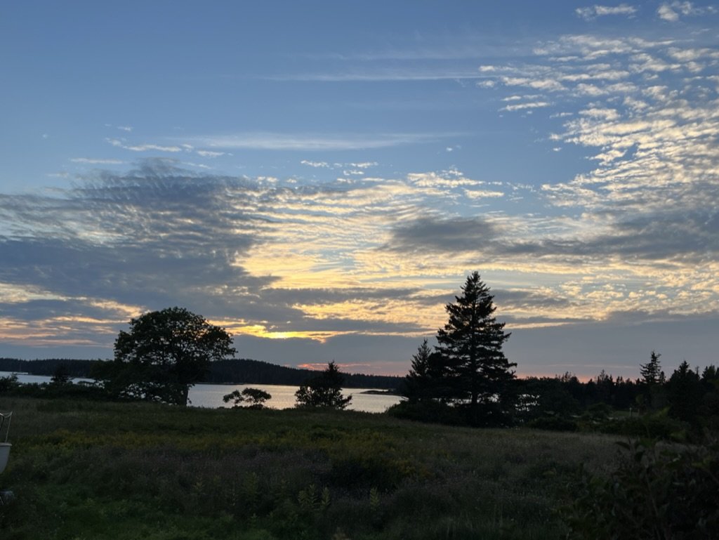 0790E9BB-E5FB-4042-82AE-4C75F7DBB67F_1_105_c.jpeg