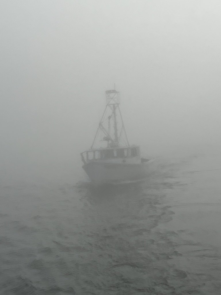 8E87C779-486A-4ADE-B1DF-8863DF73C173_1_105_c.jpeg
