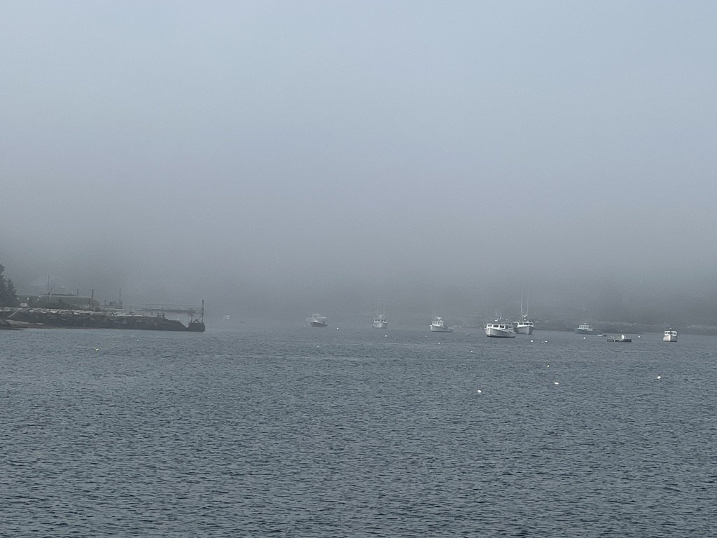21EE0530-D9CA-4A4F-936F-47185E056D65_1_105_c.jpeg