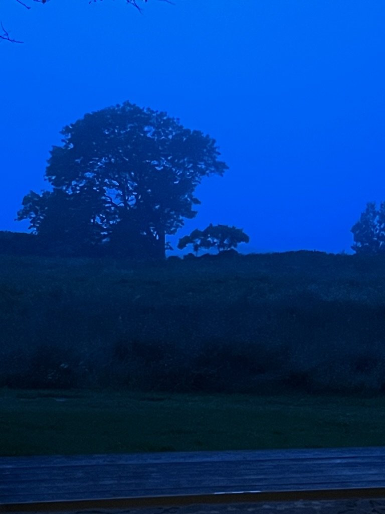 182D34A4-1EFB-4278-B412-5D5BBBB734D5_1_105_c.jpeg