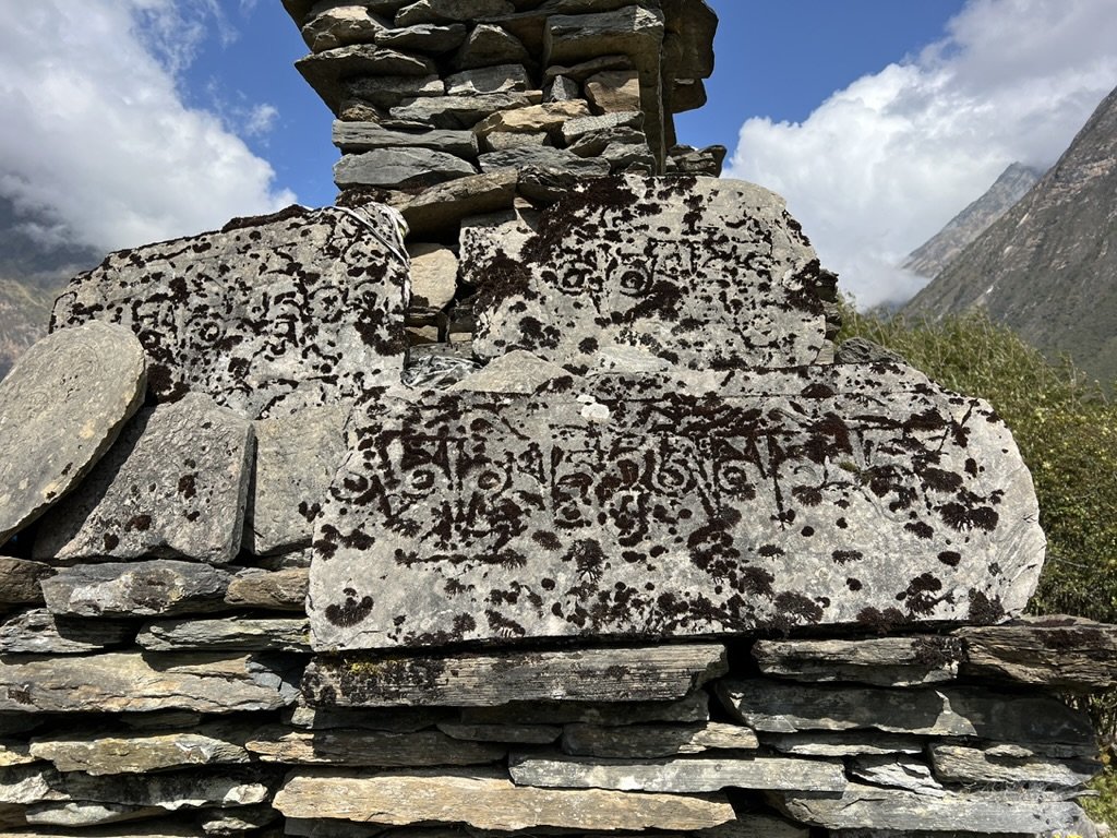 704D0212-C8C7-4B4F-BC3E-D625567EA534_1_105_c.jpeg