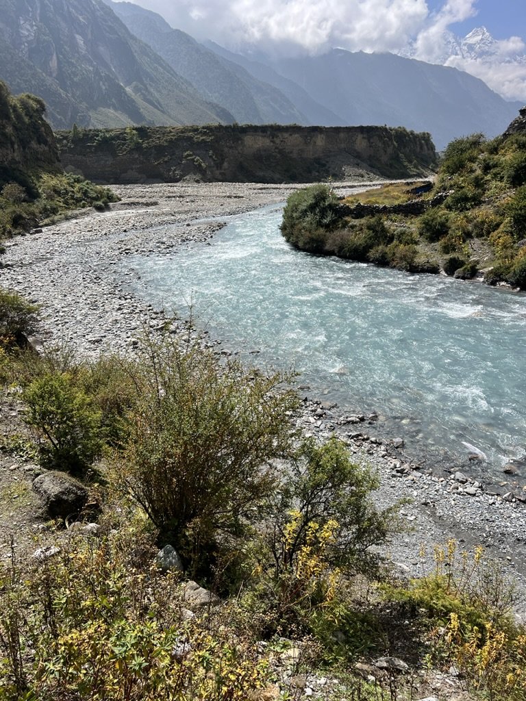 8D690EEF-D218-49B6-ACDA-3A2669F647B6_1_105_c.jpeg