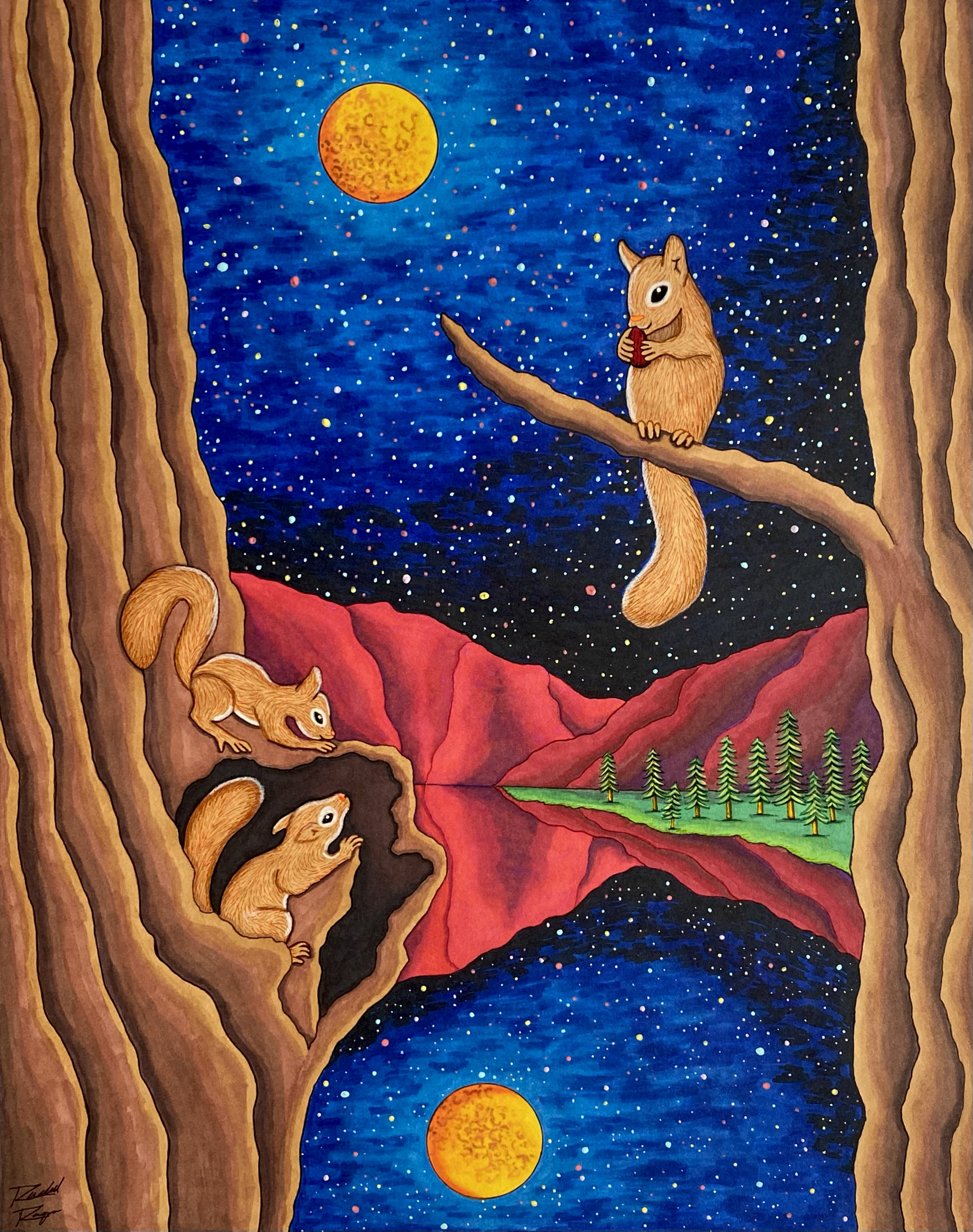Squirrels at Night