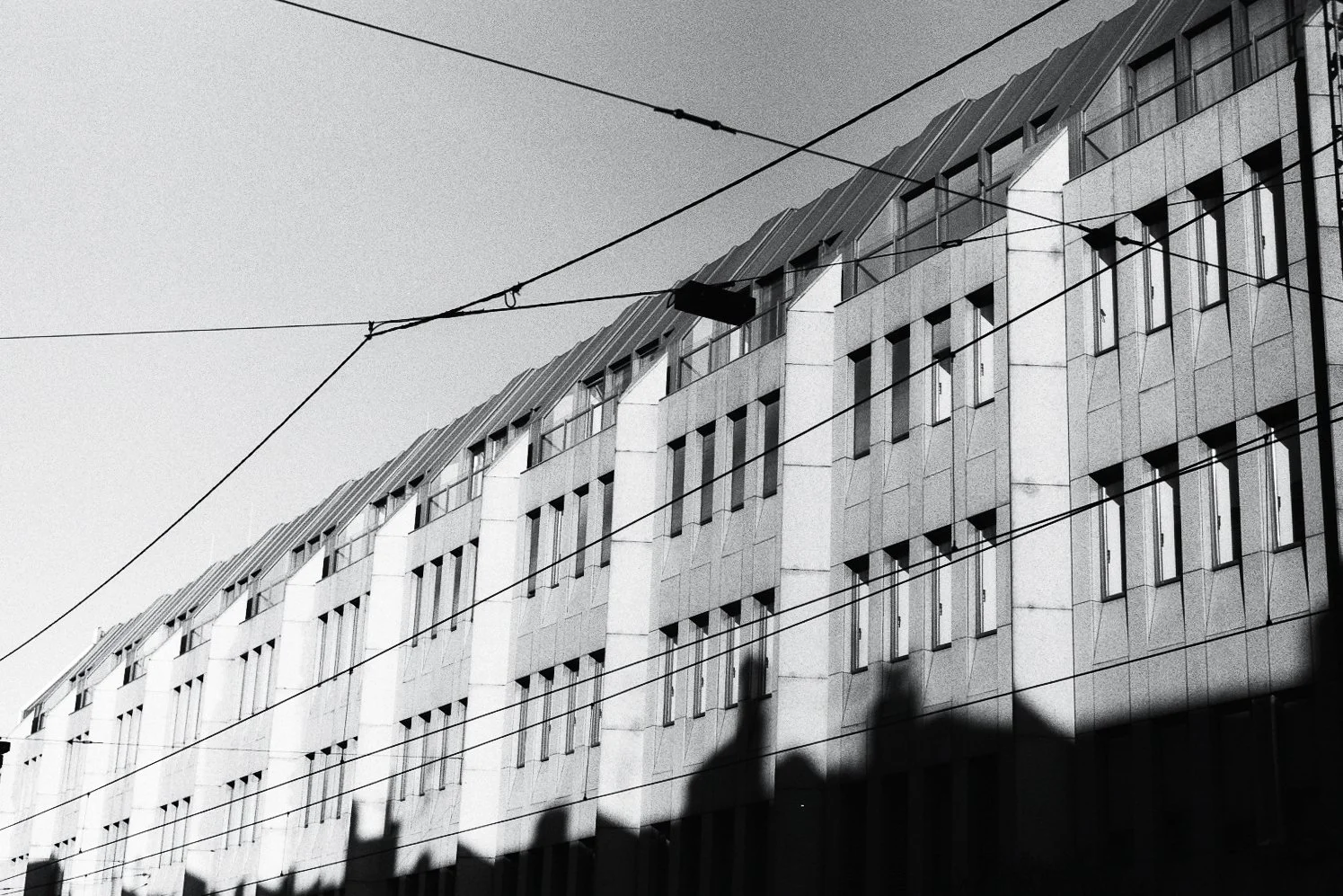 imm028_N28-2.jpg