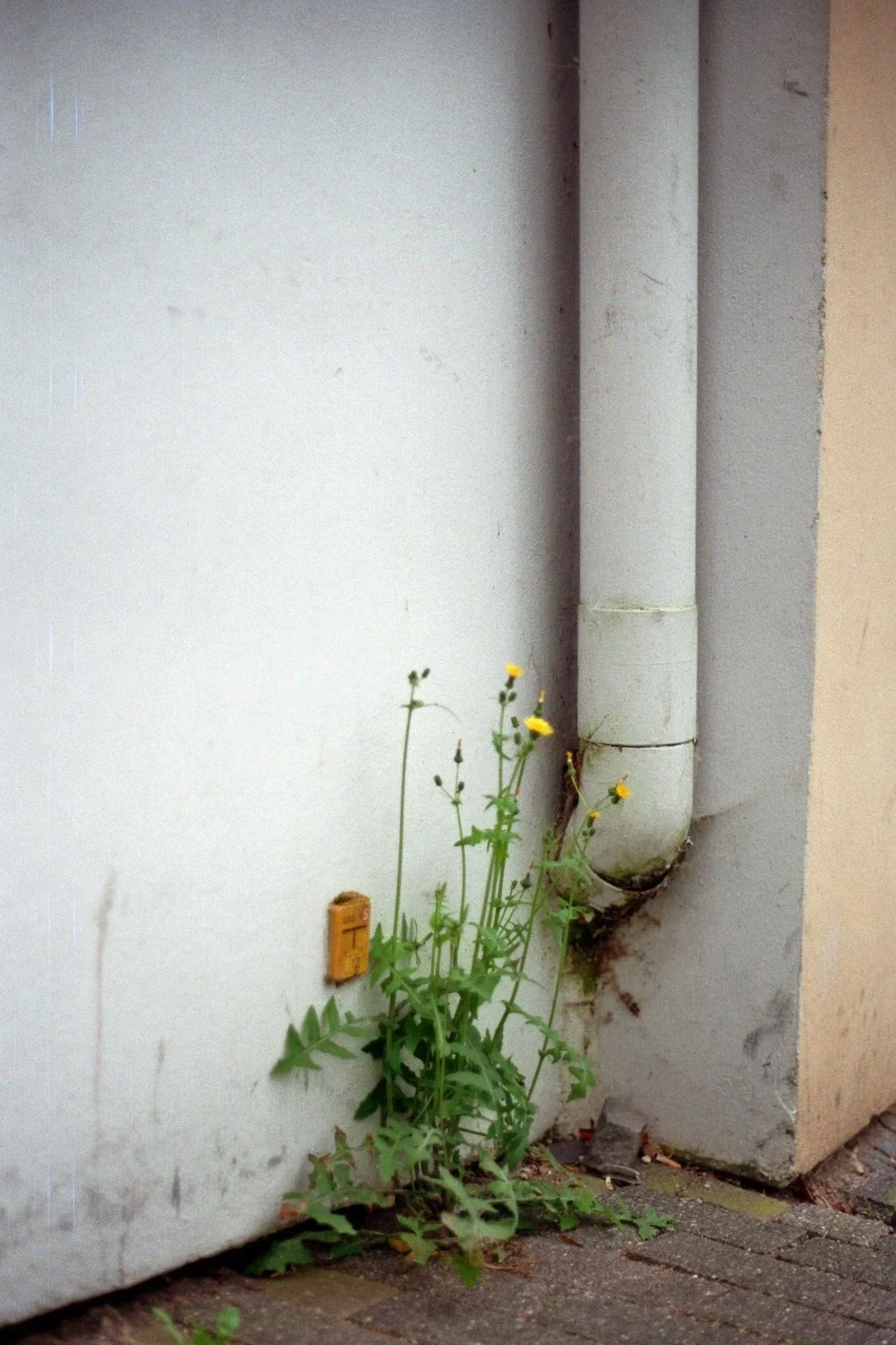 imm030_29A.jpg