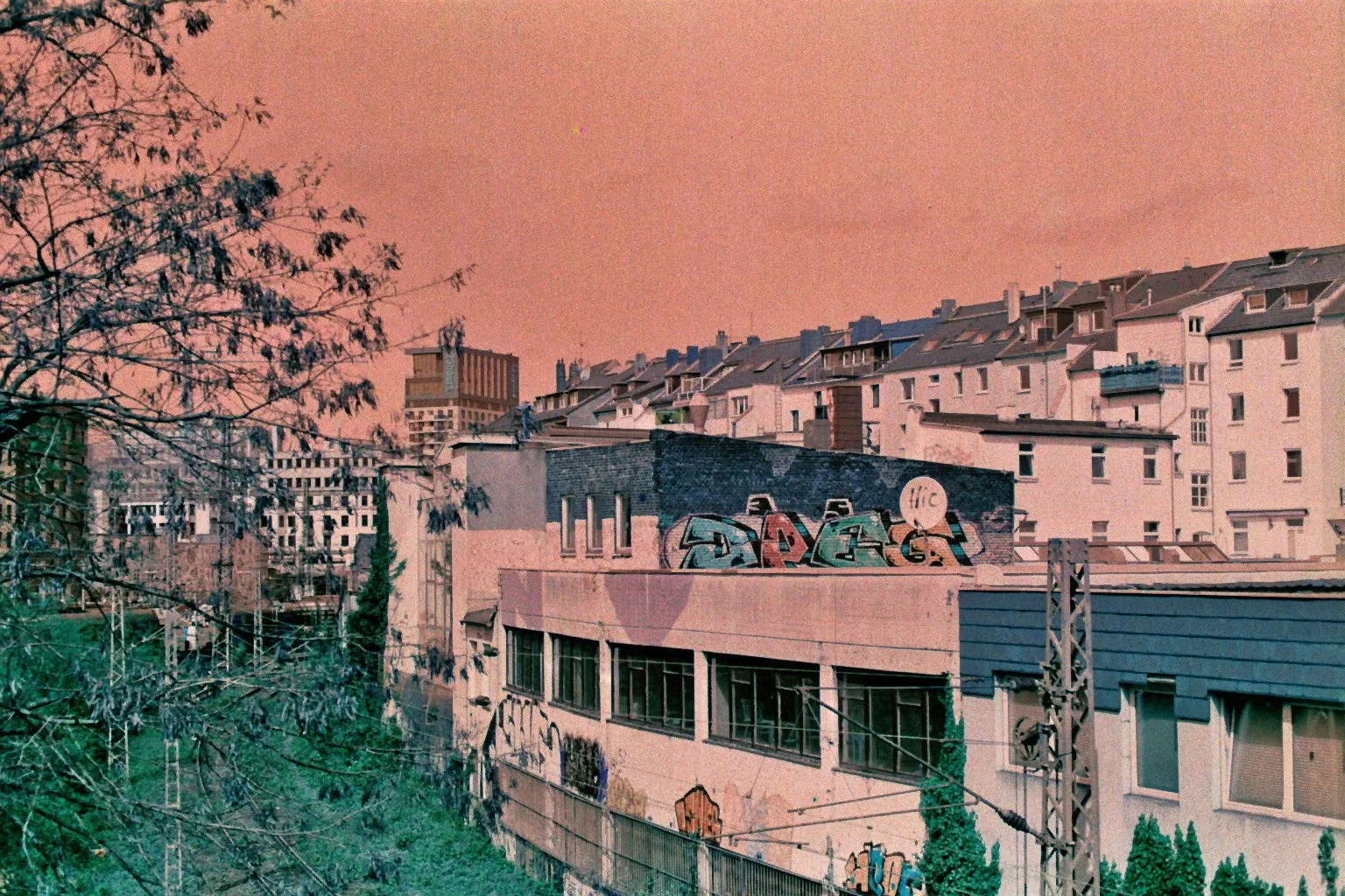 imm018_N18.jpg