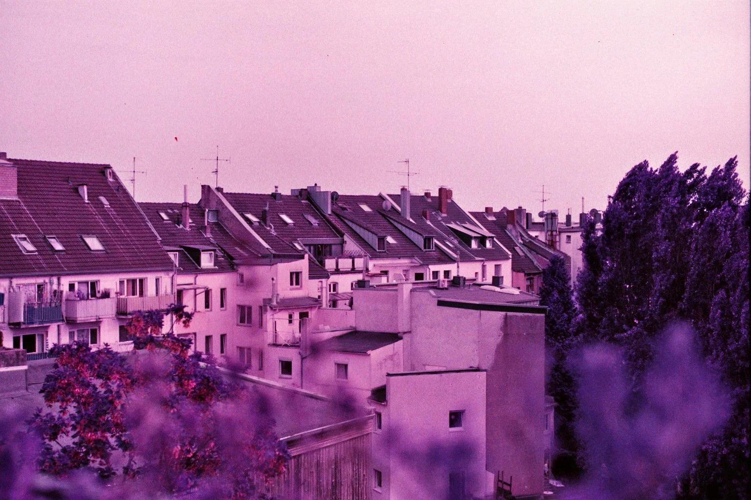 imm034_N34.jpg