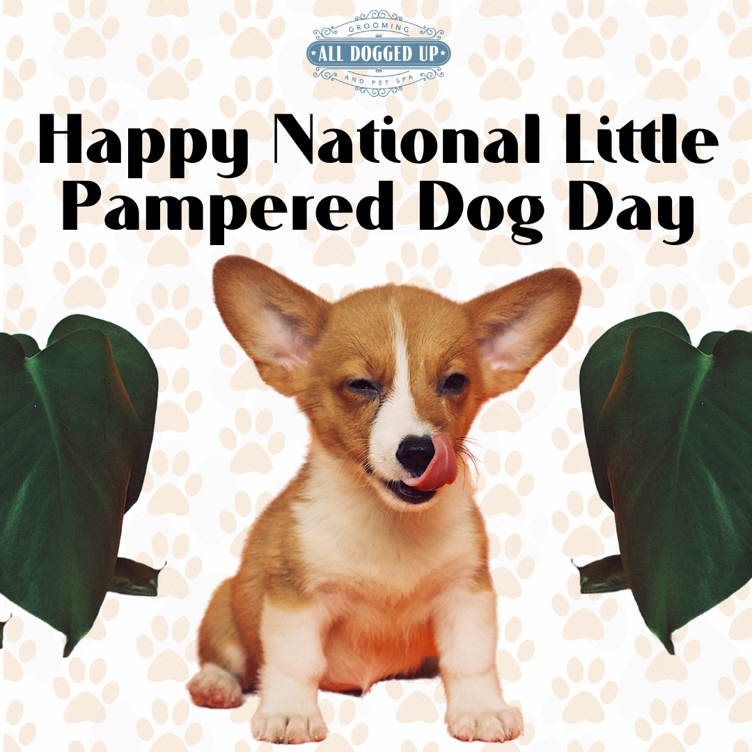 ADU Graphics  (10).png