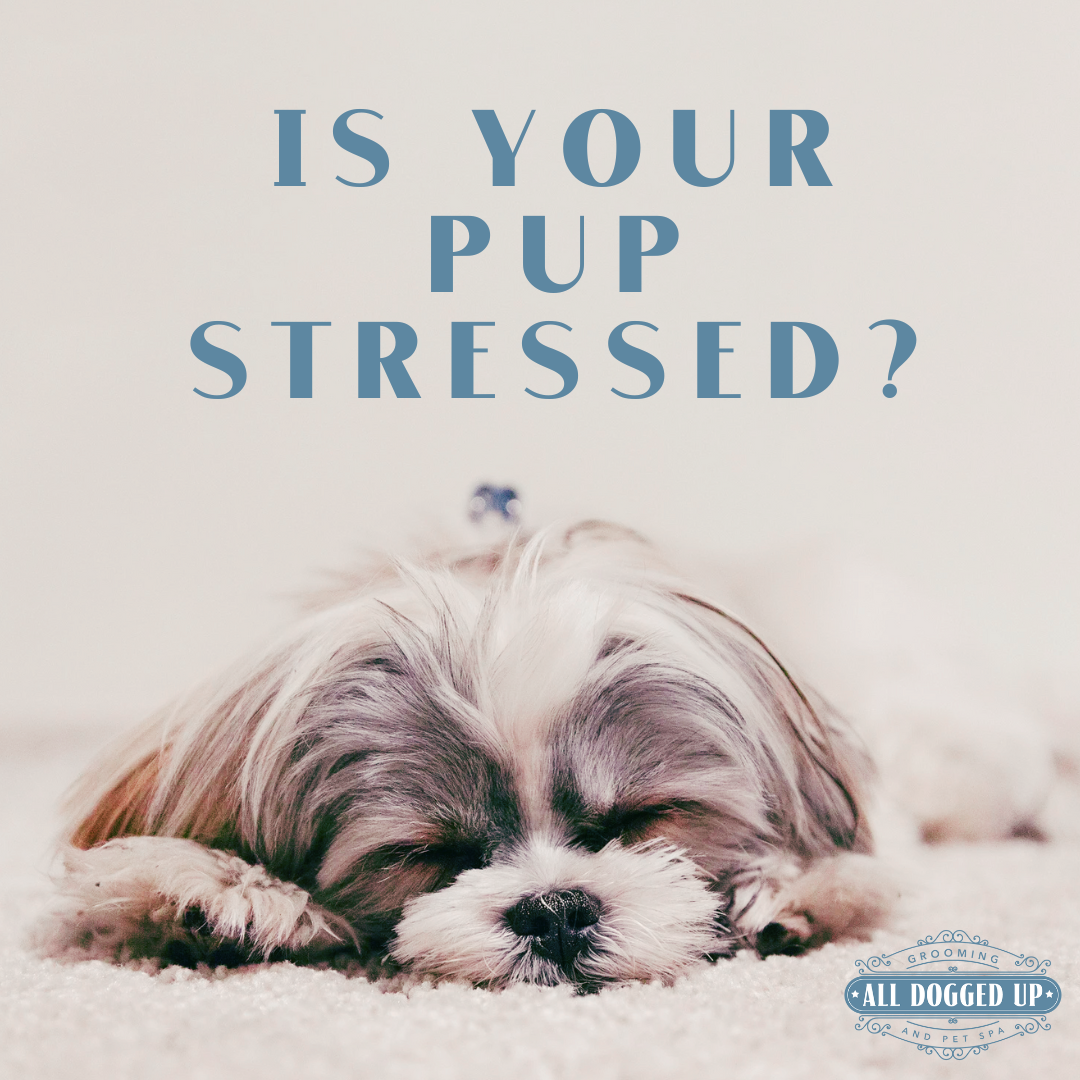 ADU Graphics  (15).png