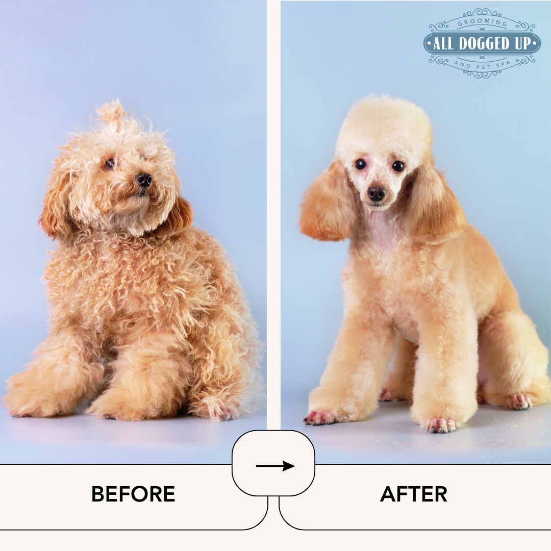 ADU Graphics  (16).png