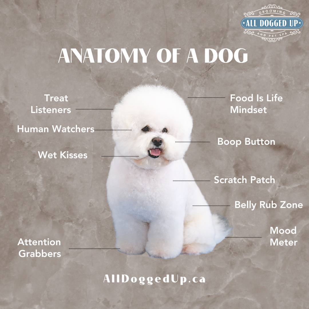 ADU Graphics  (12).png