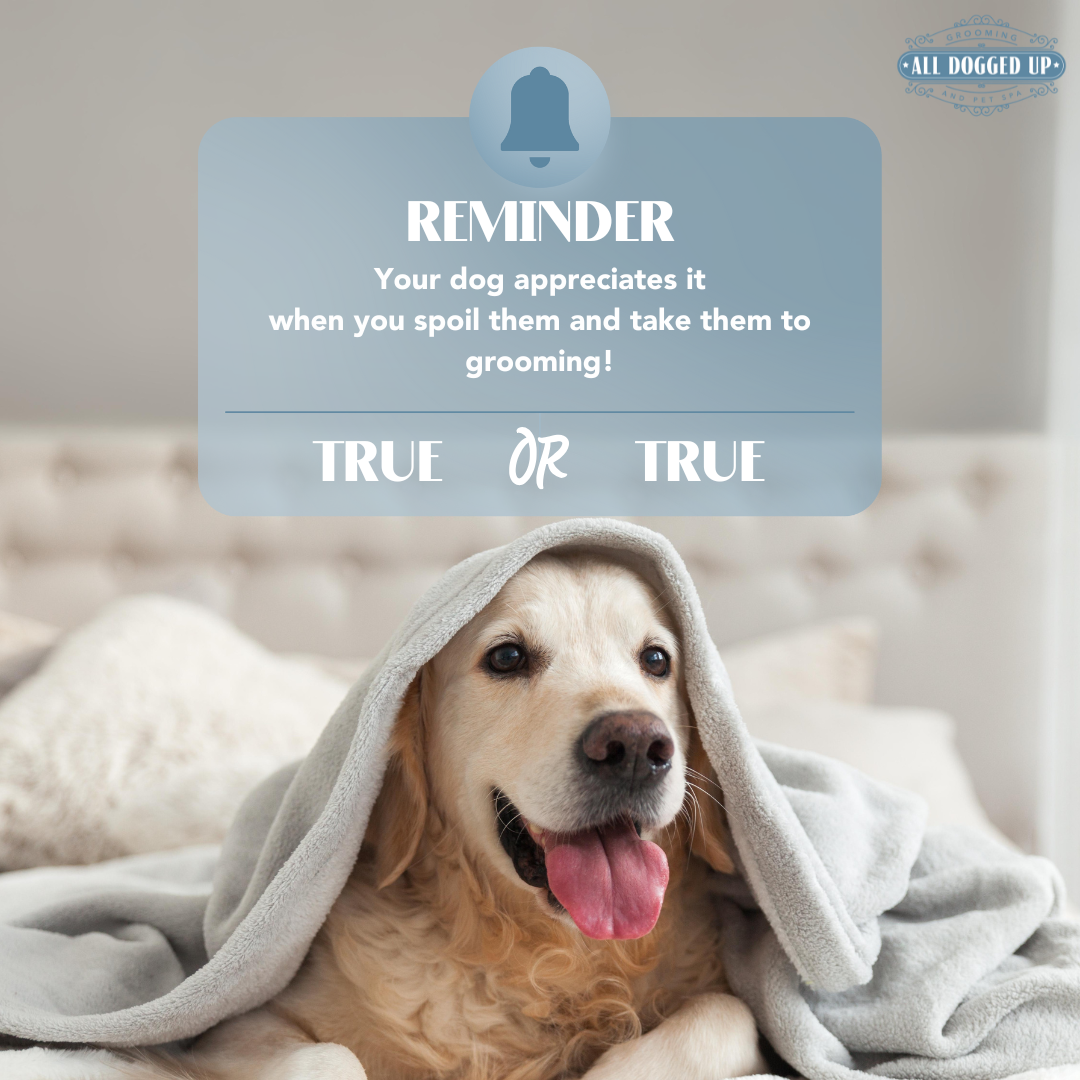 ADU Graphics  (11).png