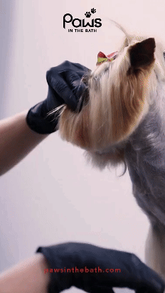 Neutral Website Rebrand Launch Your Story.gif