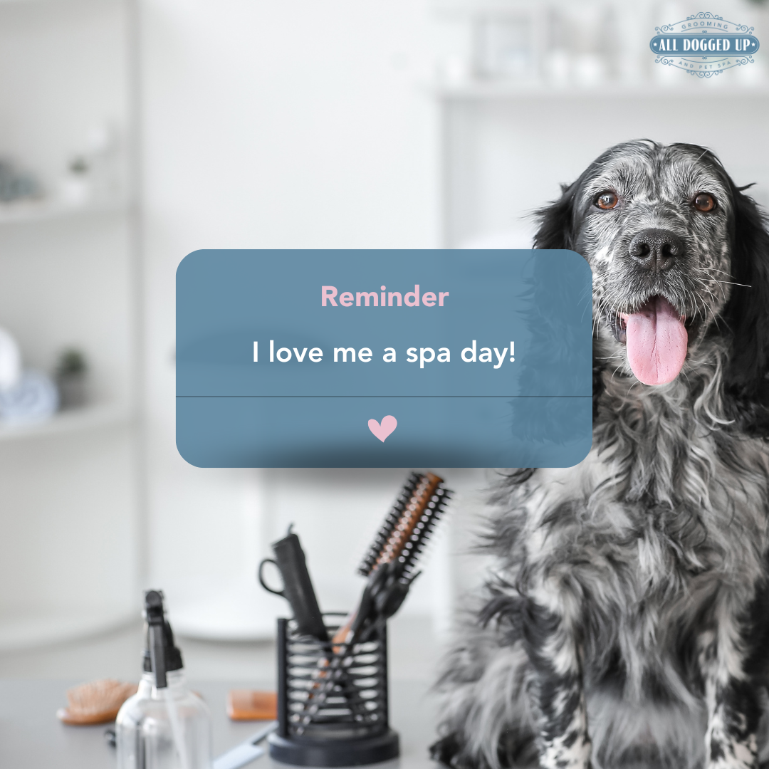 ADU Graphics  (2).png