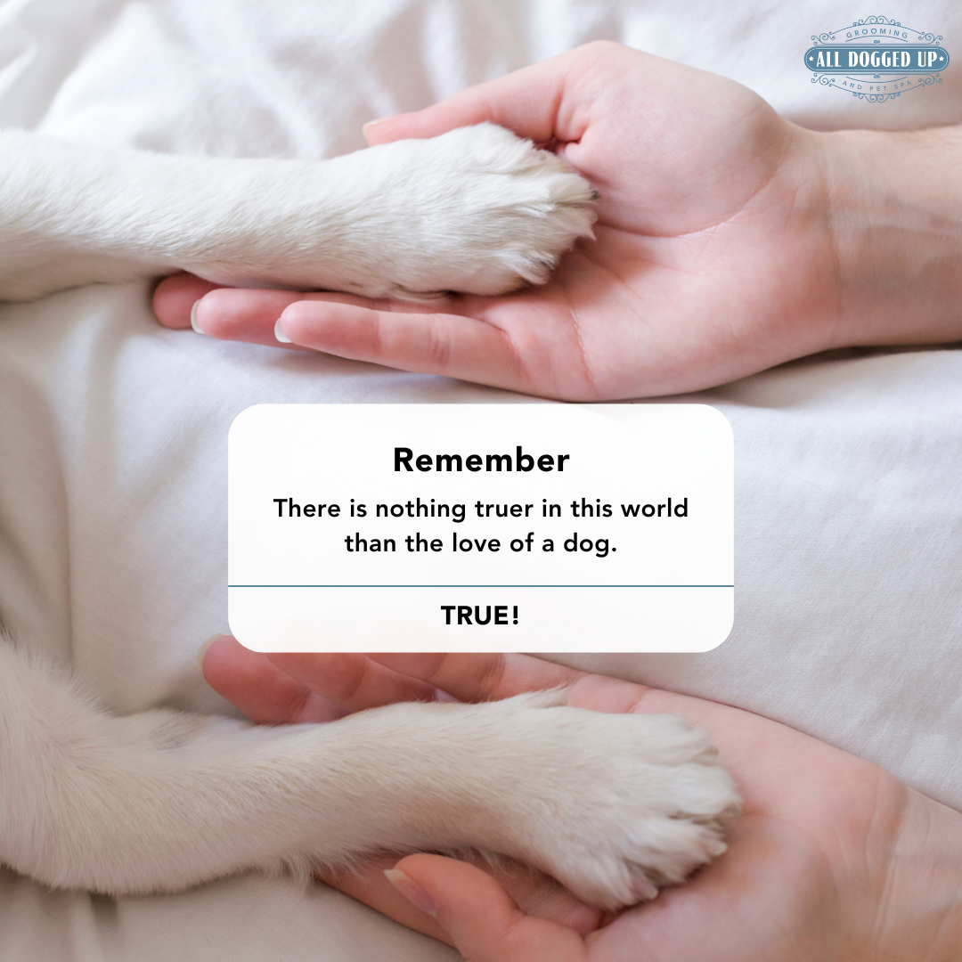 ADU Graphics  (5).png