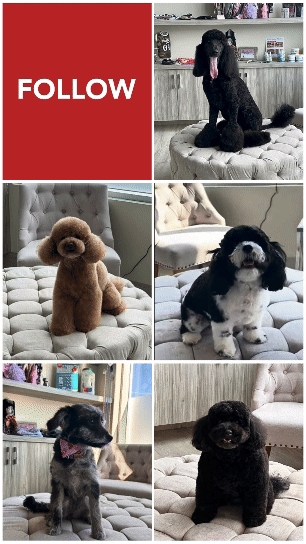 Neutral Website Rebrand Launch Your Story (1).gif