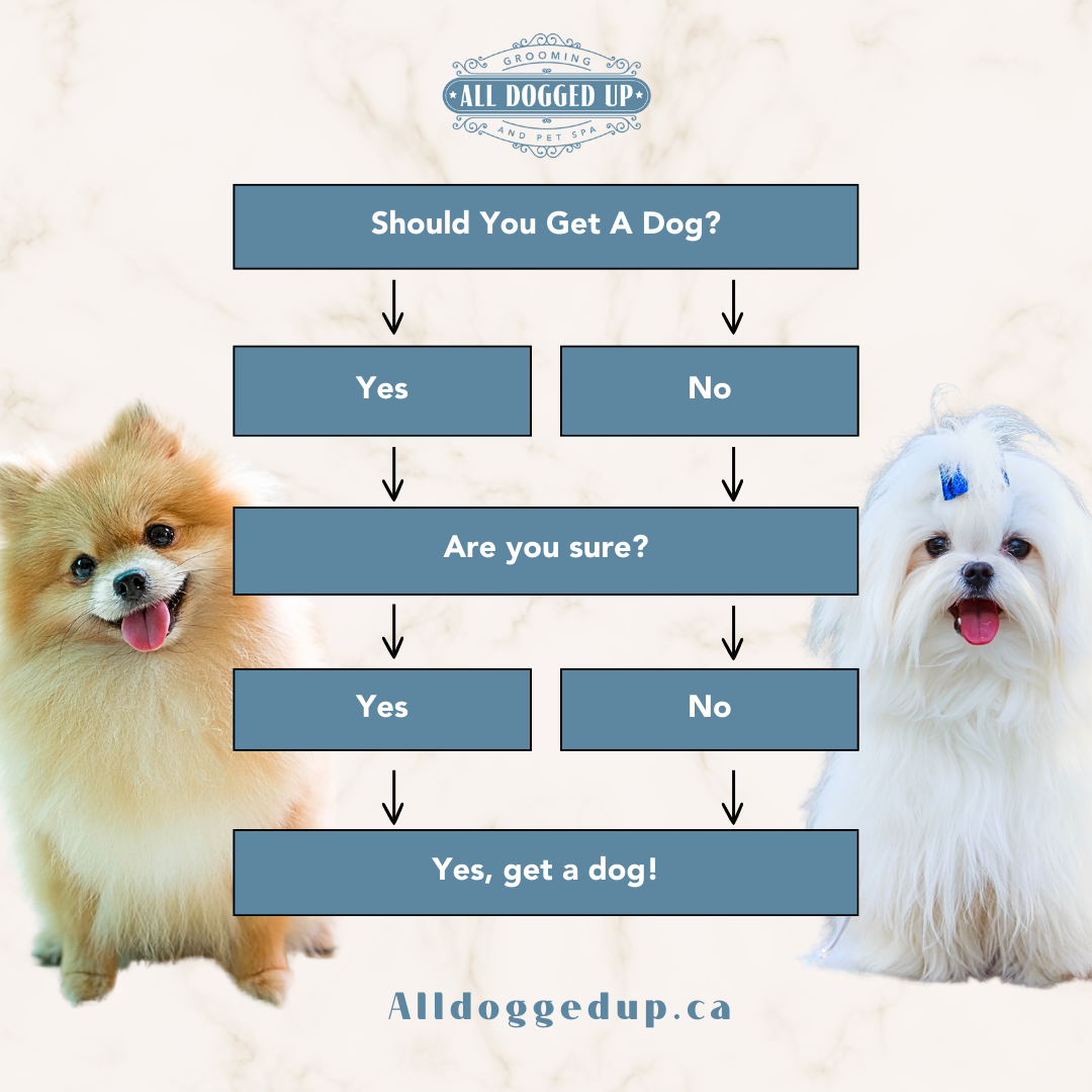 ADU Graphics  (14).png