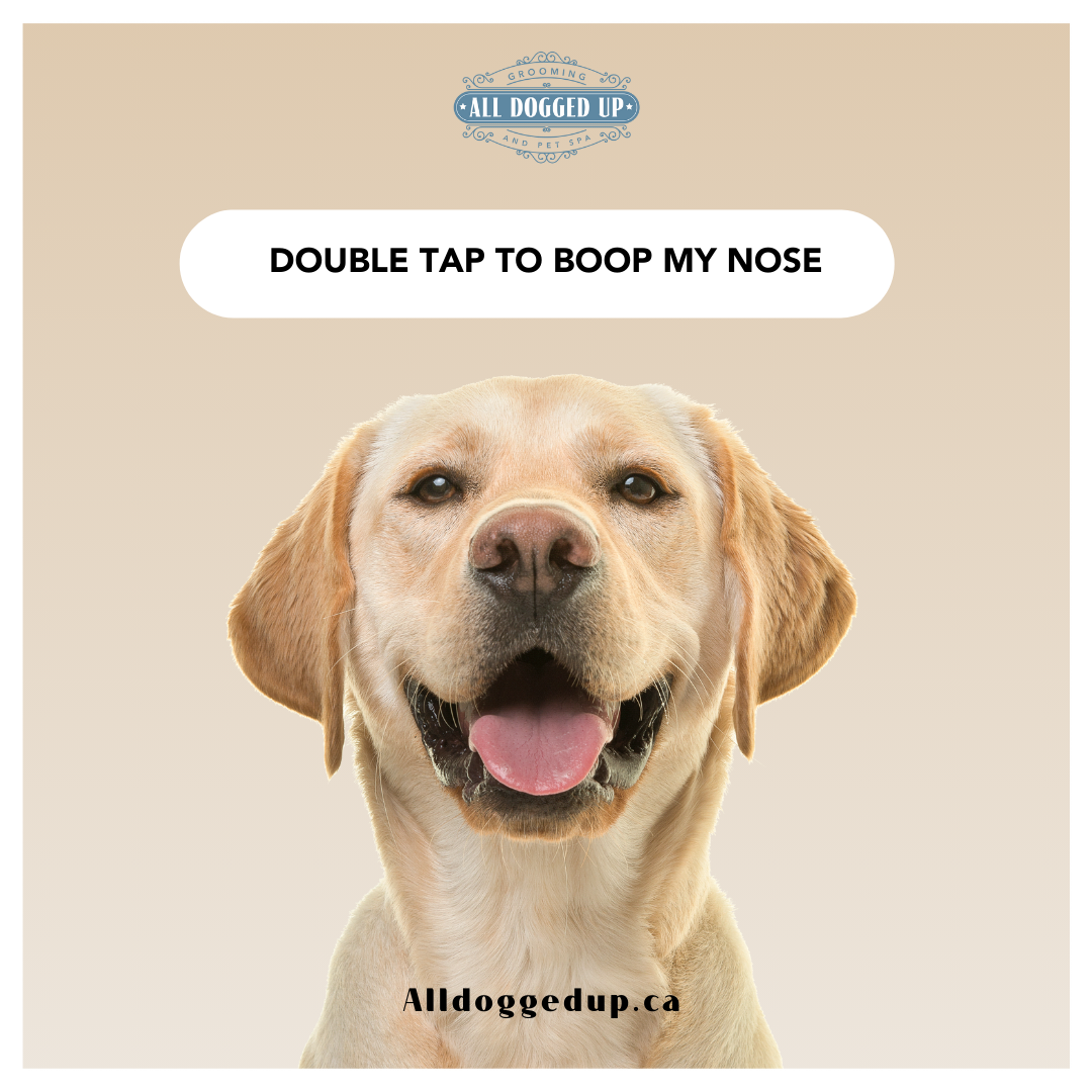 ADU Graphics  (7).png