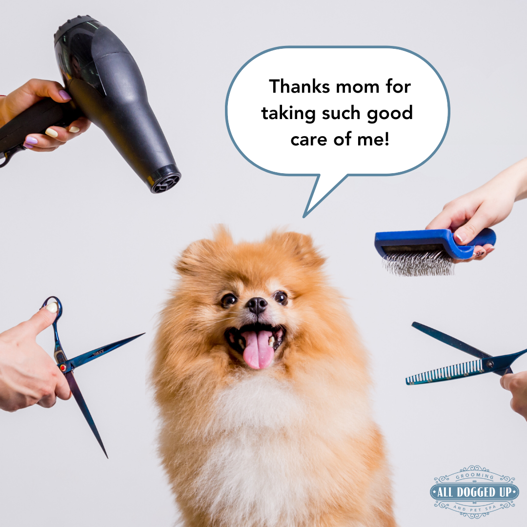 ADU Graphics  (4).png