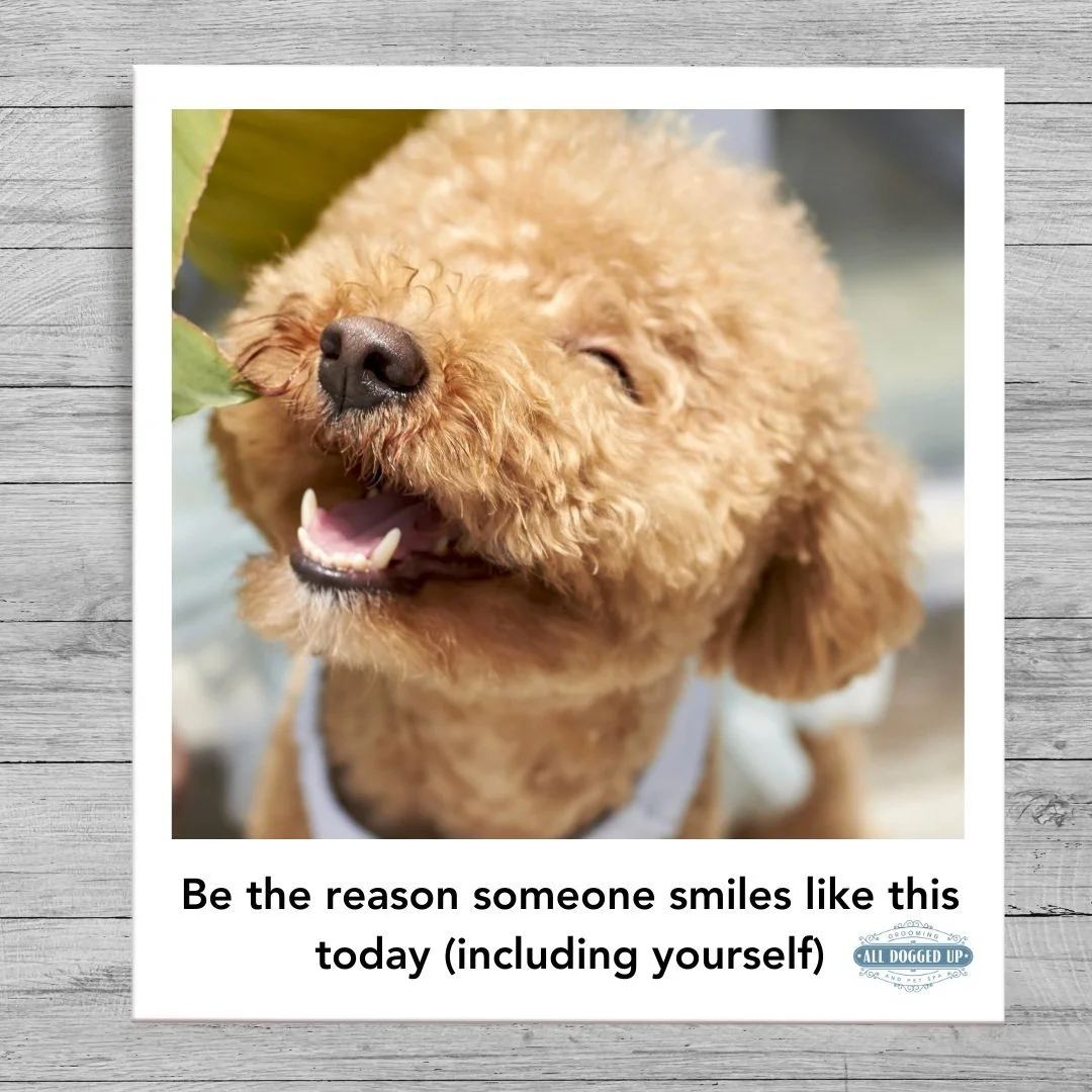 ADU Graphics  (1).jpg