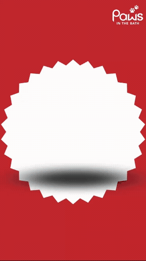 Adobe Express - snaptik_7457323122971249925_v3 2.gif