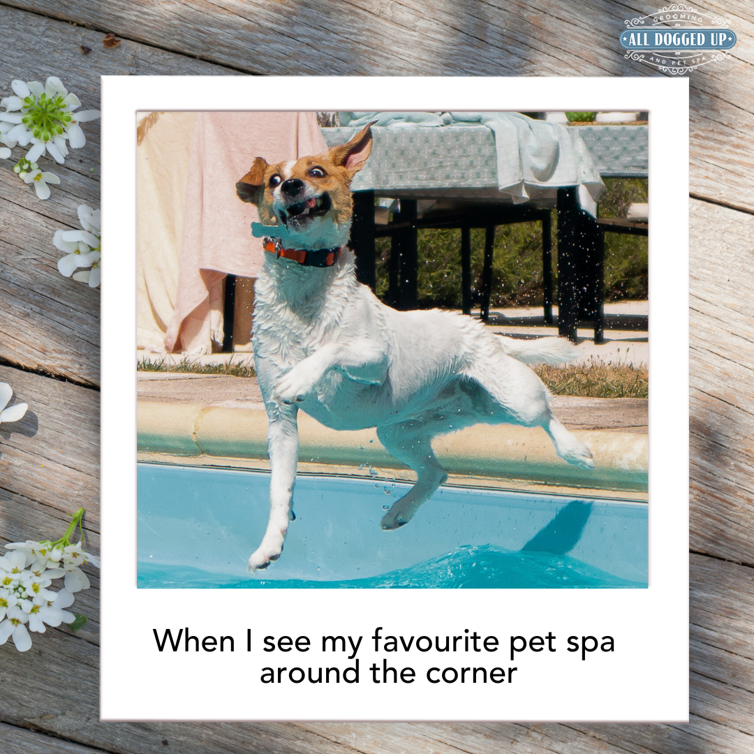 ADU Graphics  (6).png