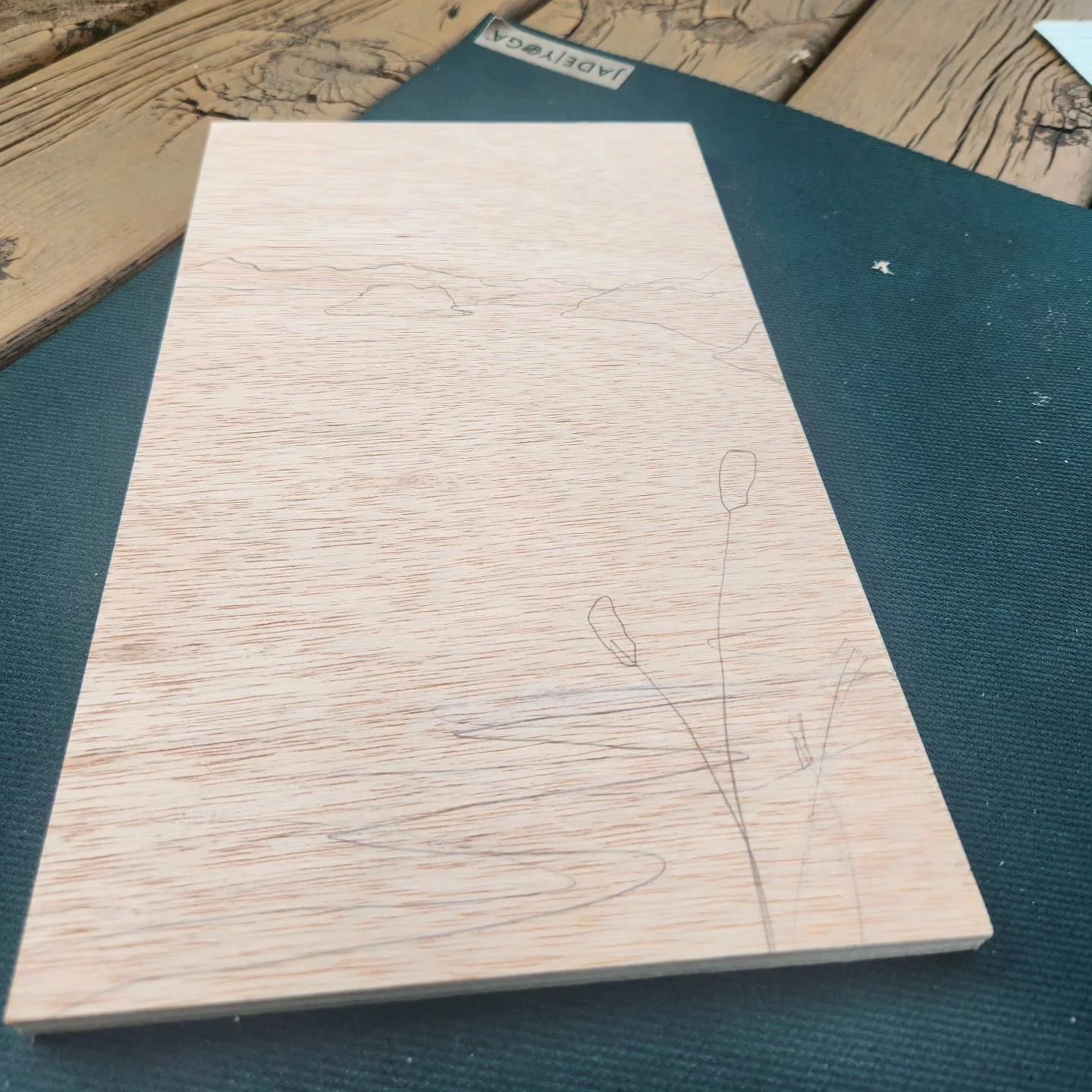 More cattails in the works. ☁️