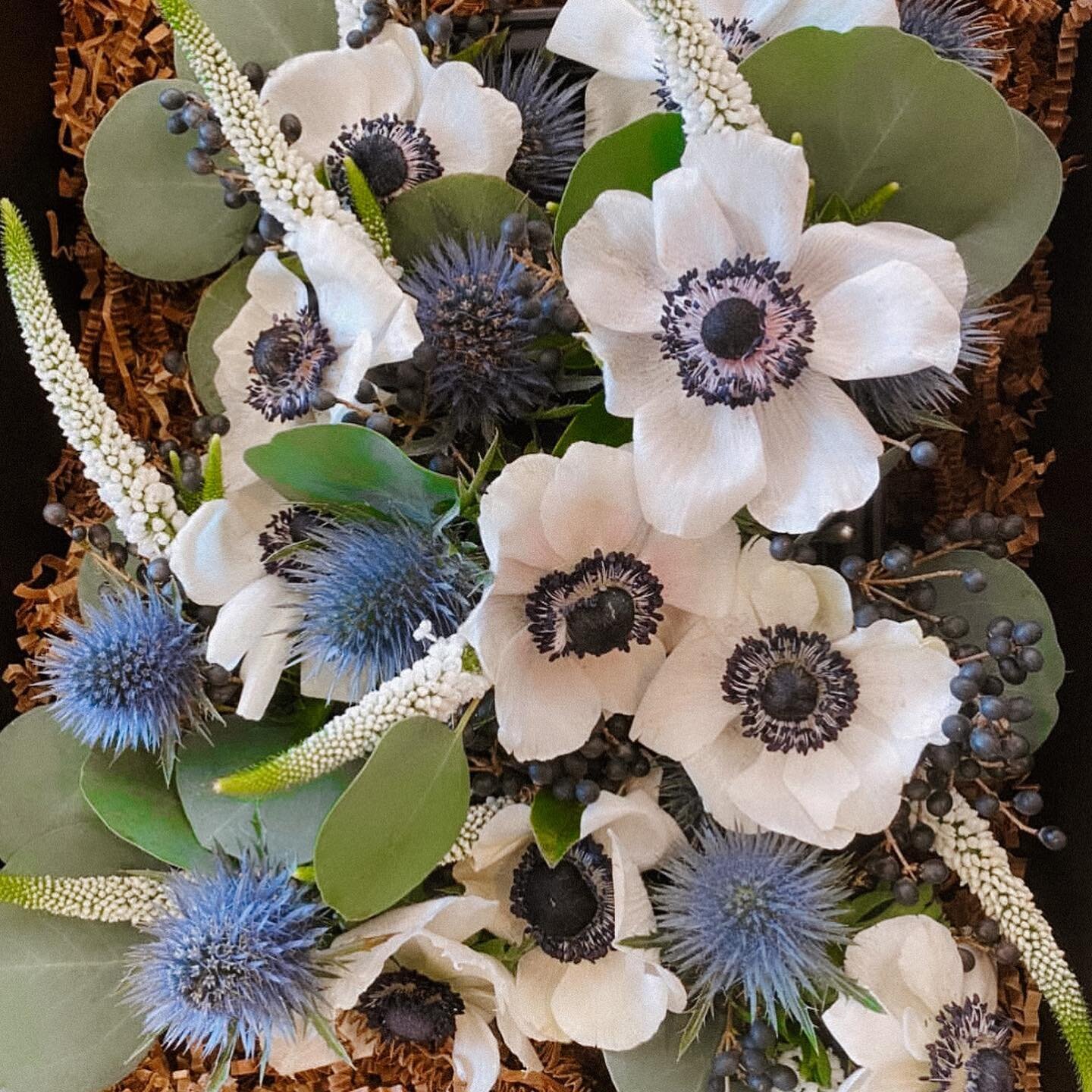 Vendor Spotlight - Botanical Verbiage

Nicole from Botanical Verbiage will be curating a seed bundle bar with specific intentions curated for the women in attendance of our summer mixer! You have the choice of five different florals with individualiz