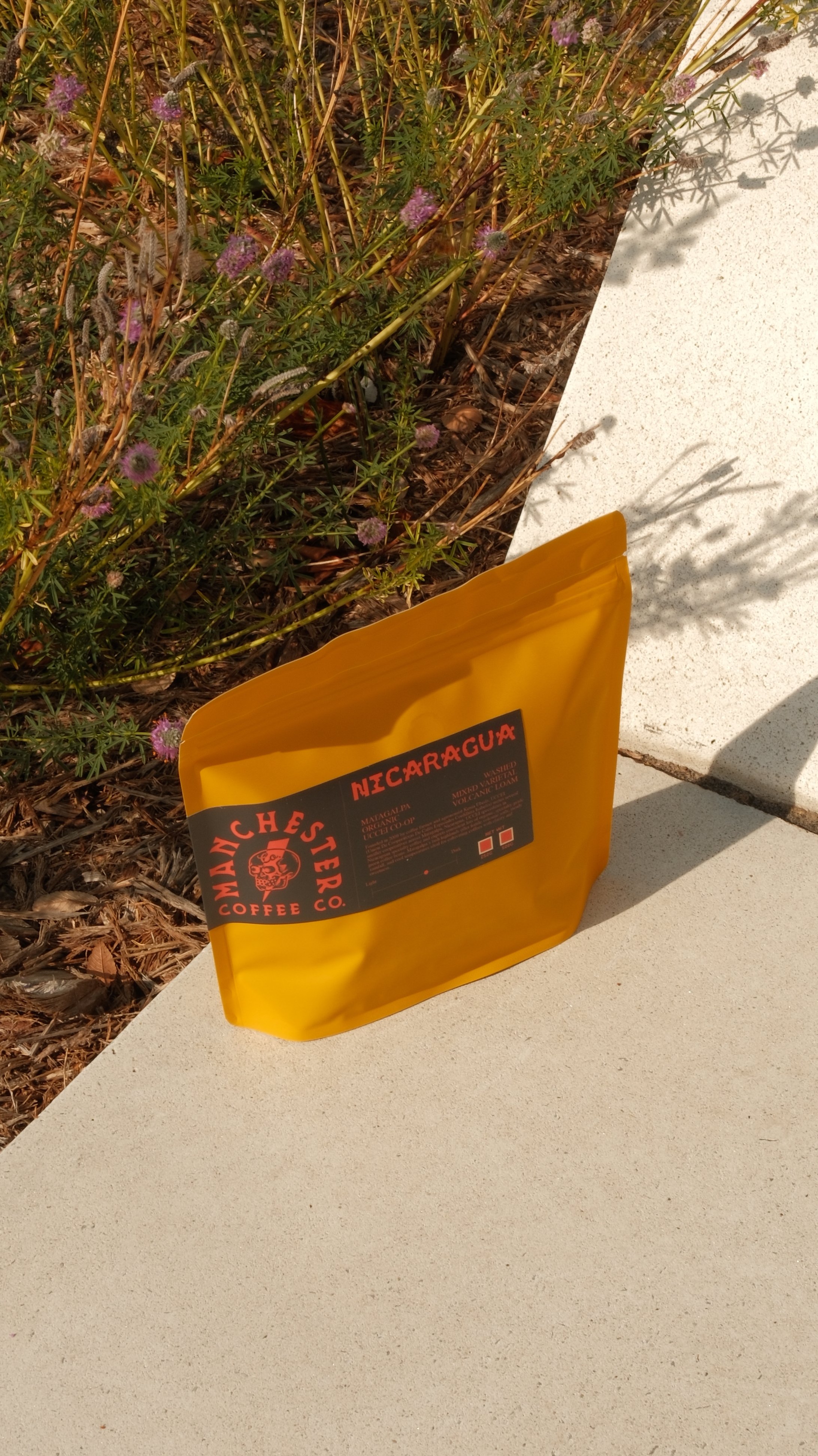 DSCF1538.jpg