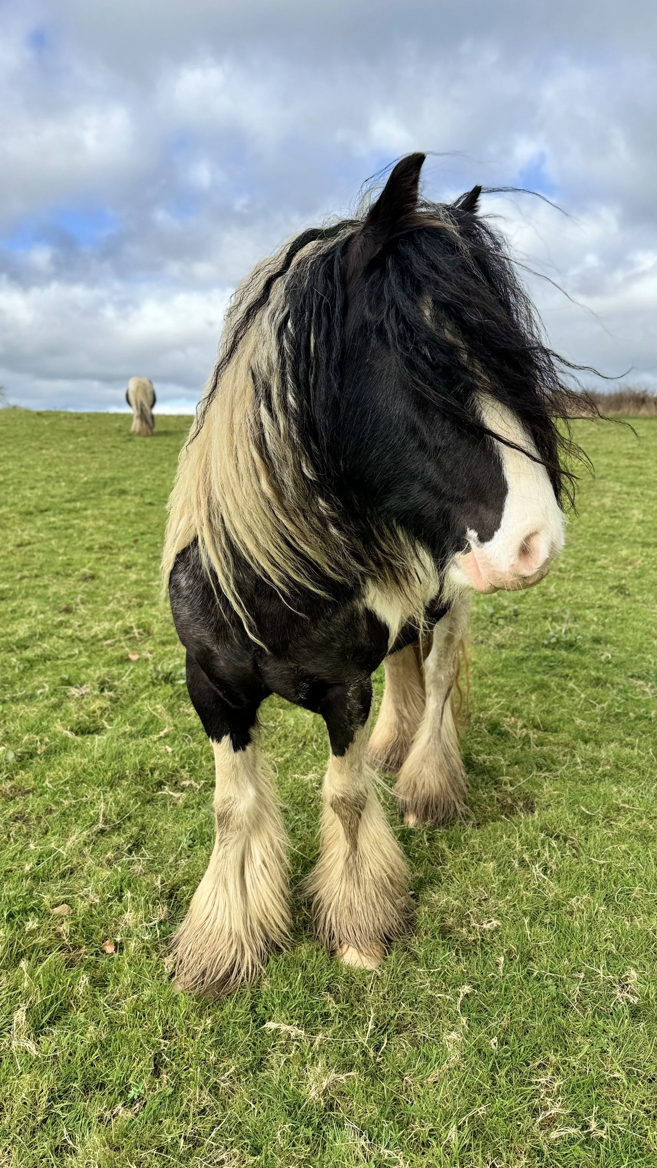 El Descubrimiento de un Legado Oculto