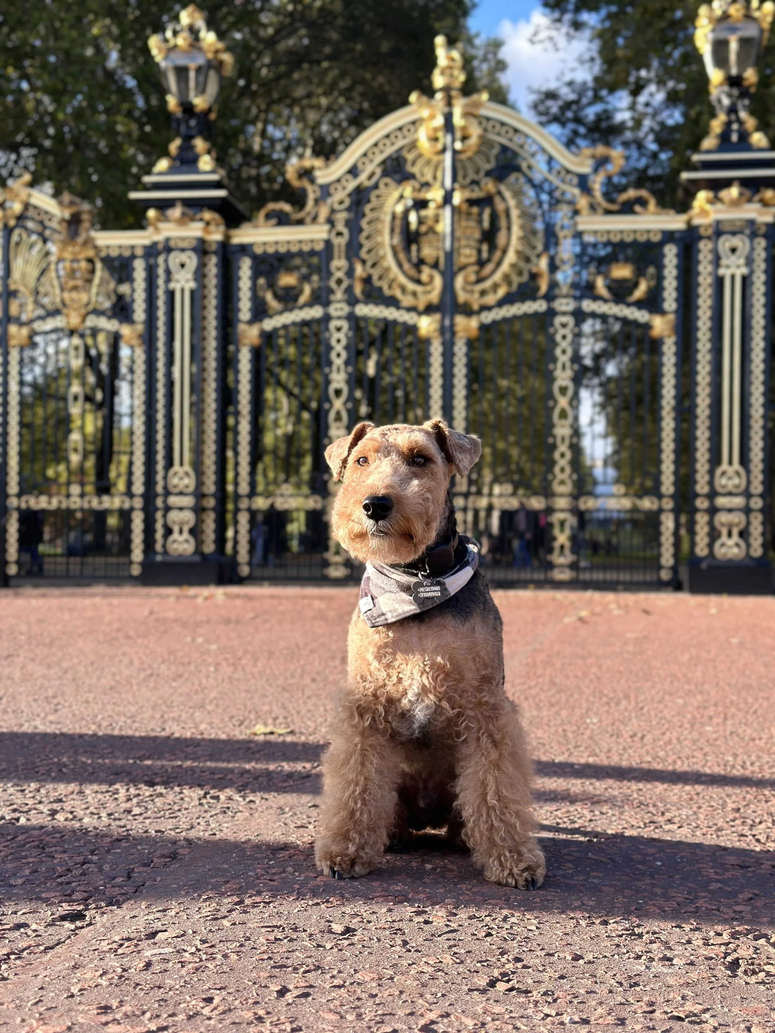 Los Guardianes Originales de las Líneas de Herencia