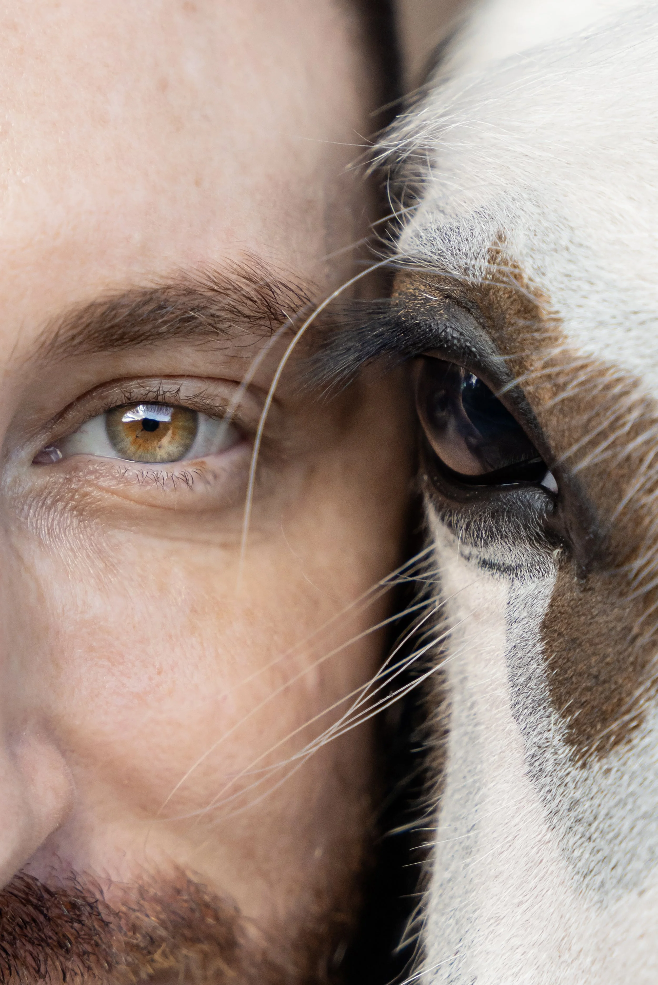 The Death of a Vision: Why the GVHS Leadership Should Resign