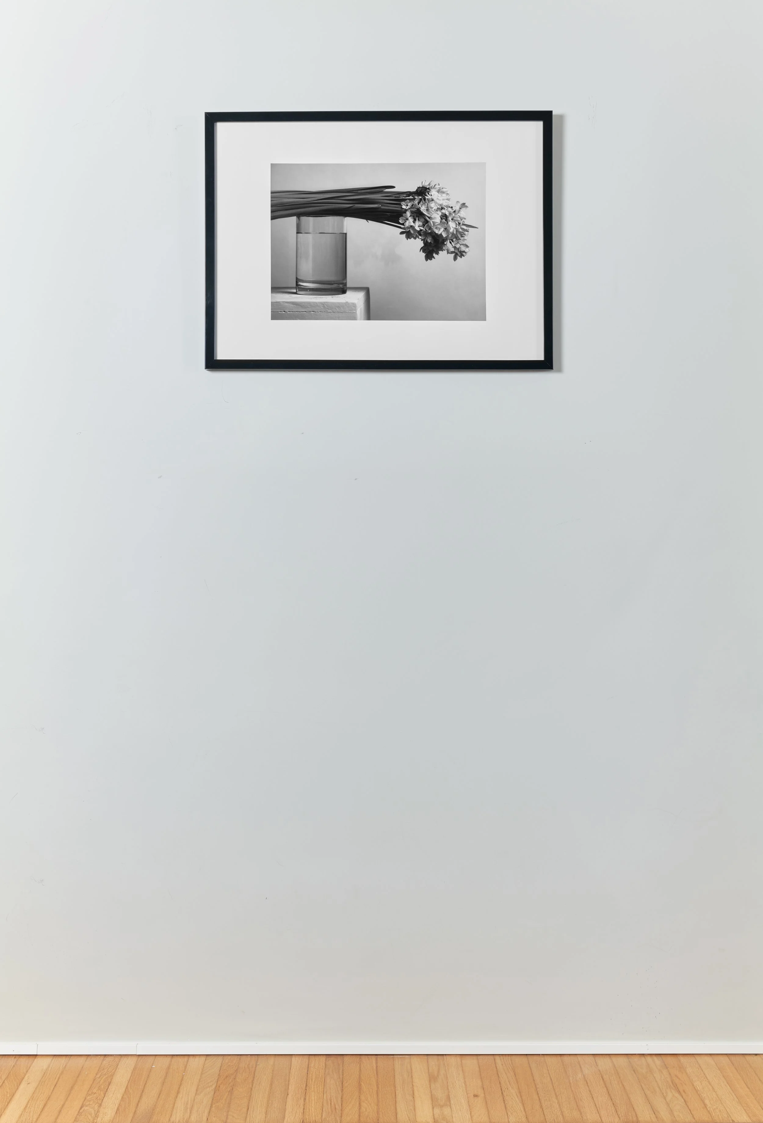 PRINTED-WORKS0083_rt.jpg