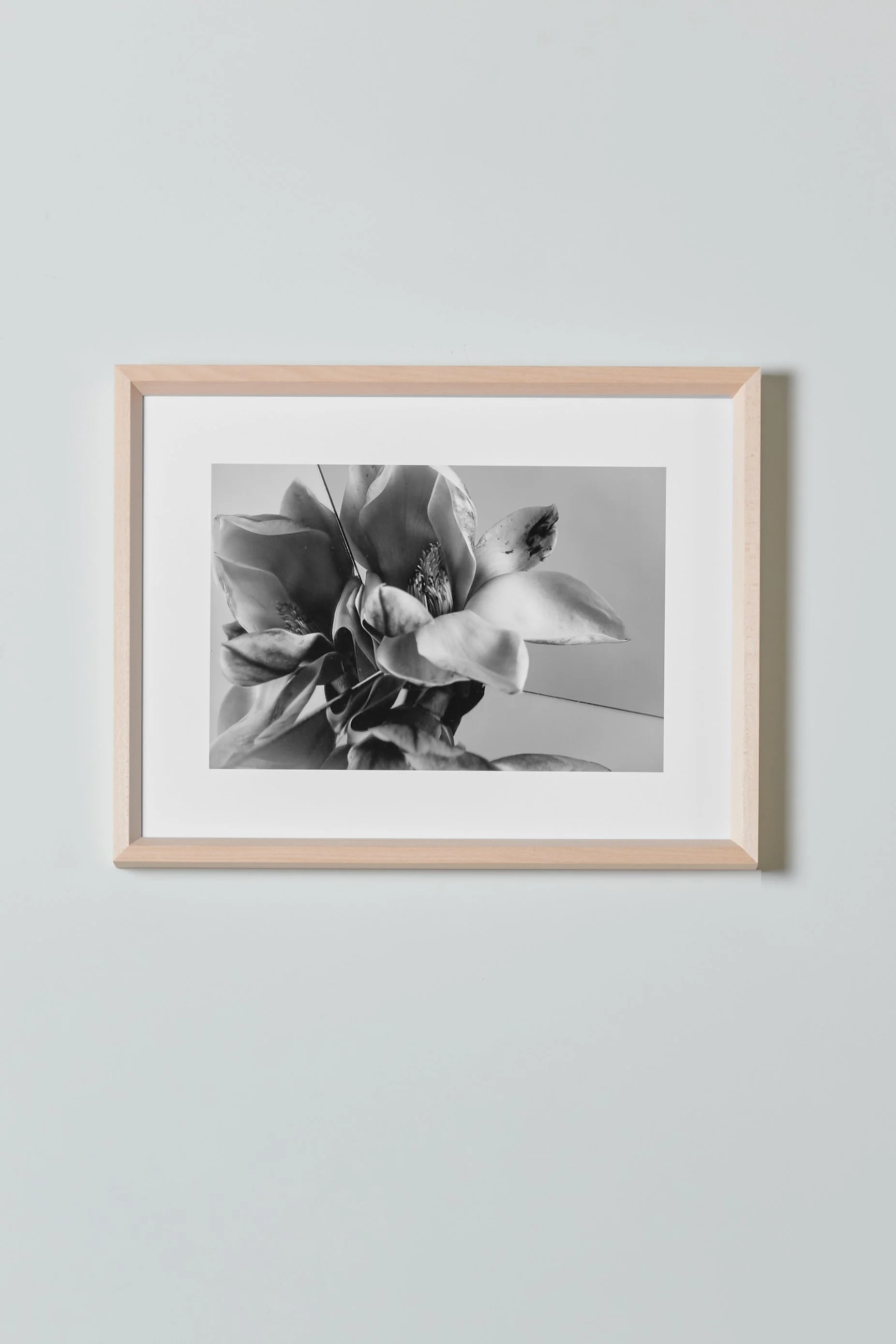 PRINTED-WORKS0285_rt.jpg