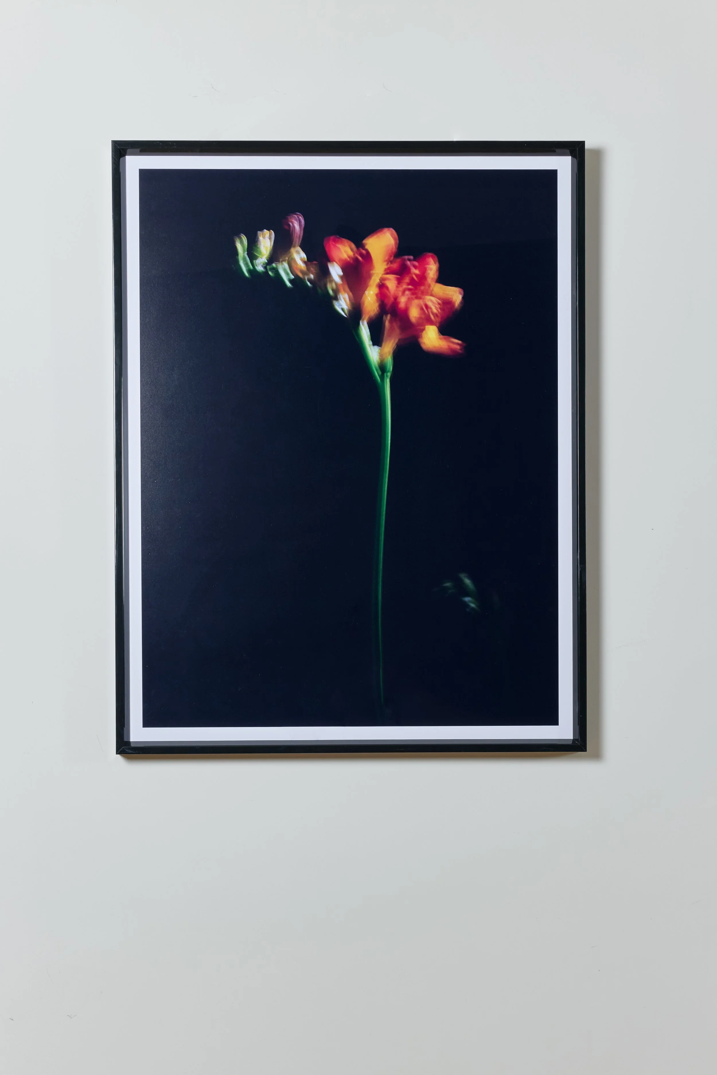 PRINTED-WORKS0290_rt.jpg