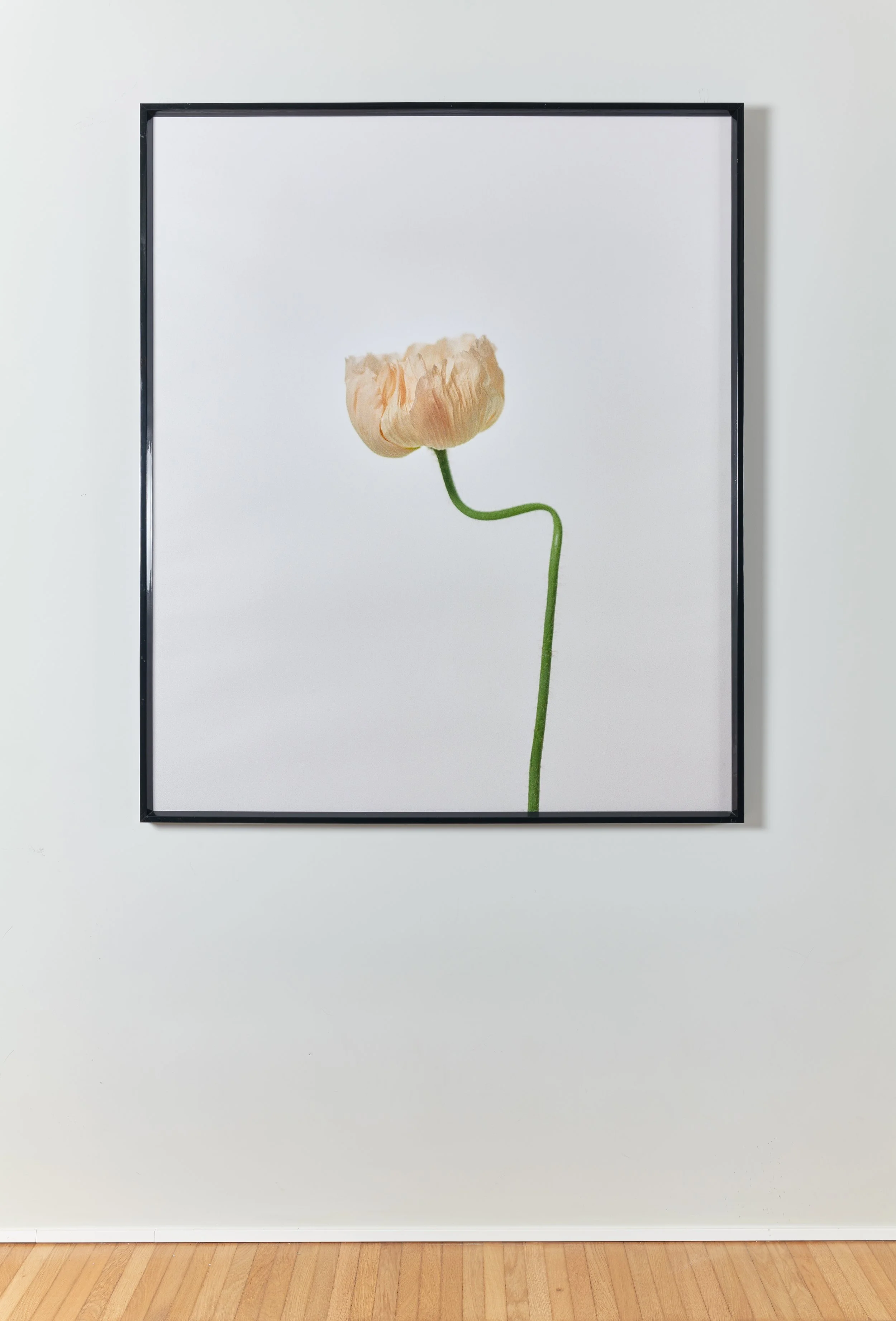 PRINTED-WORKS0076_rt.jpg