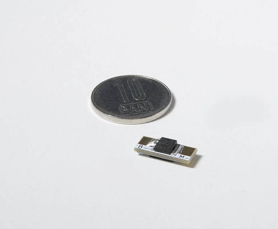 Size comparison - Bani.JPG