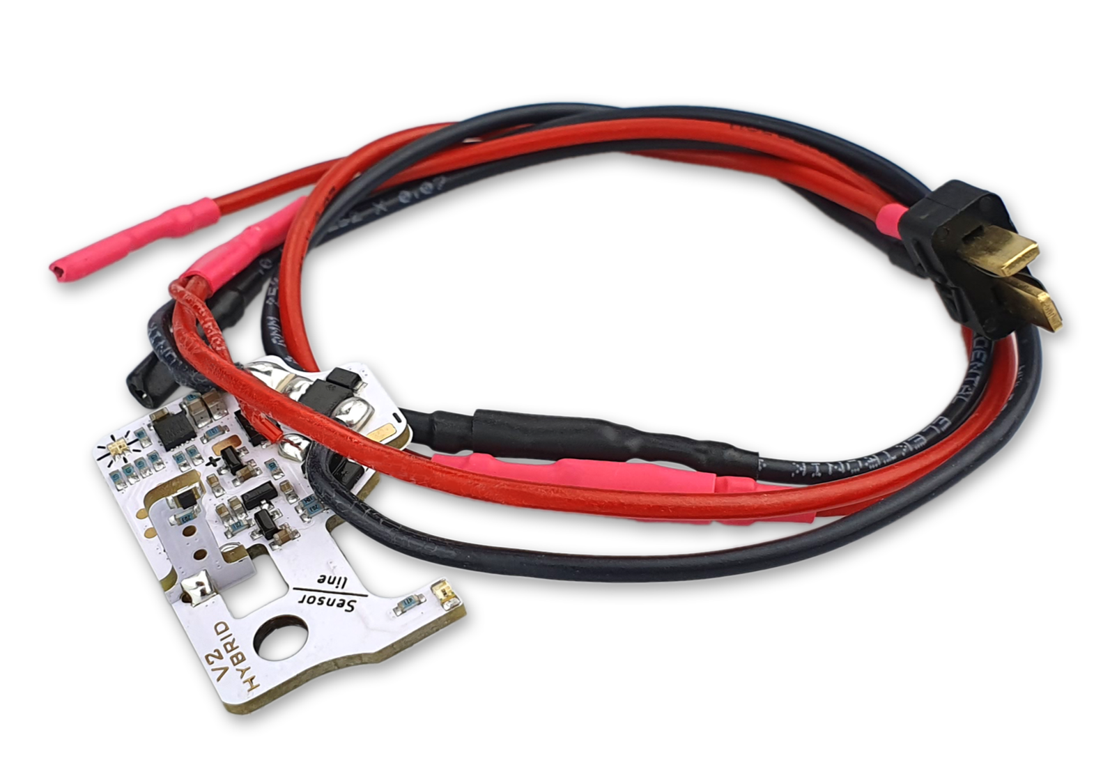 HB_V2_FW+photo+3.png (Copy)