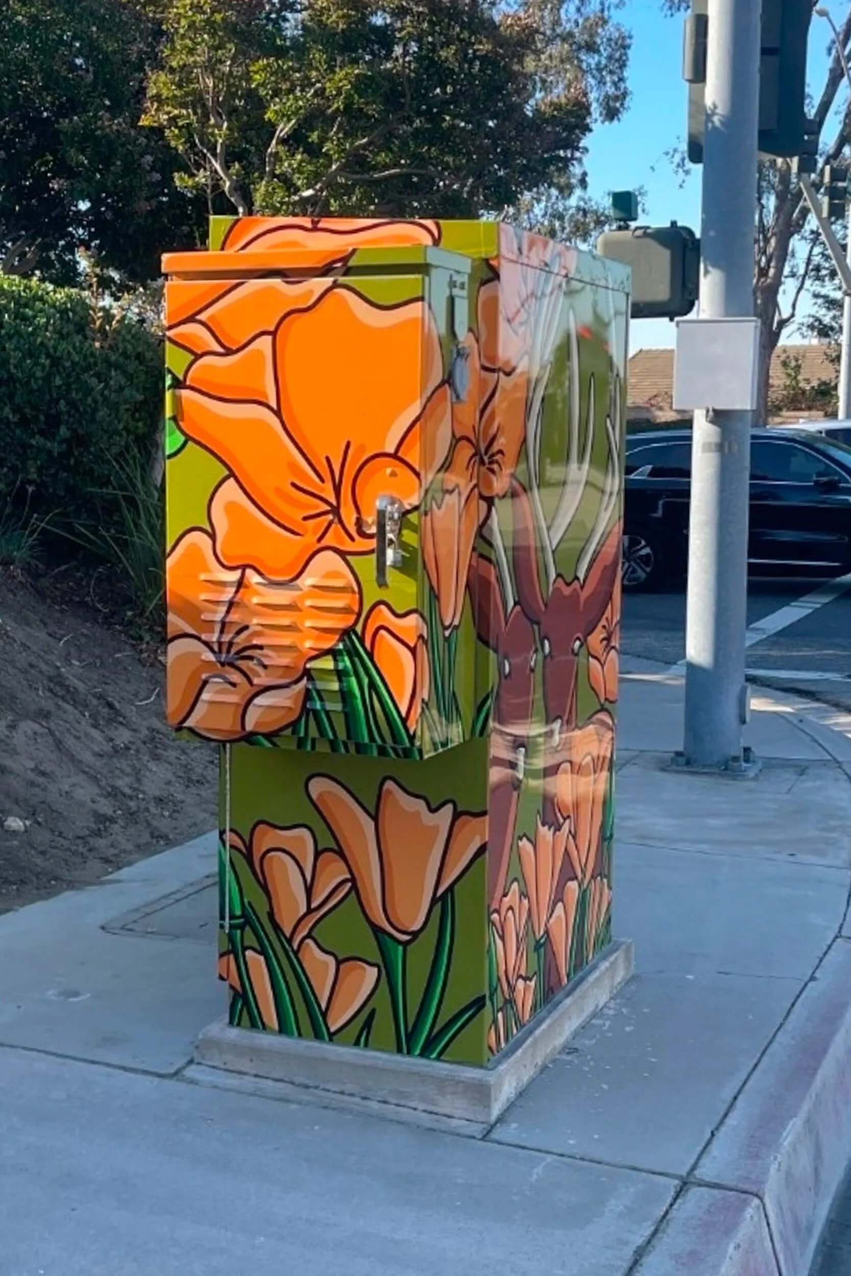 RanchoCucamongaCA_UtilityBoxes5.jpg