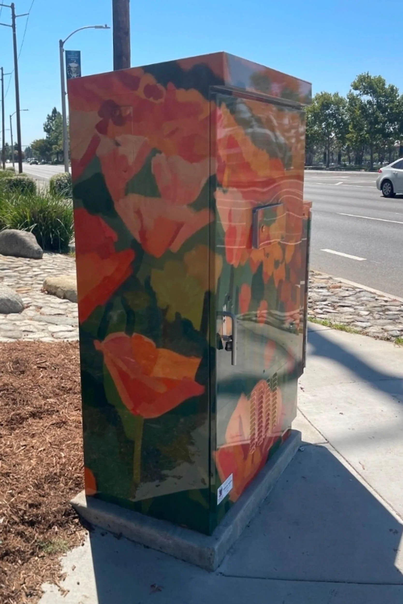 RanchoCucamongaCA_UtilityBoxes4.jpg