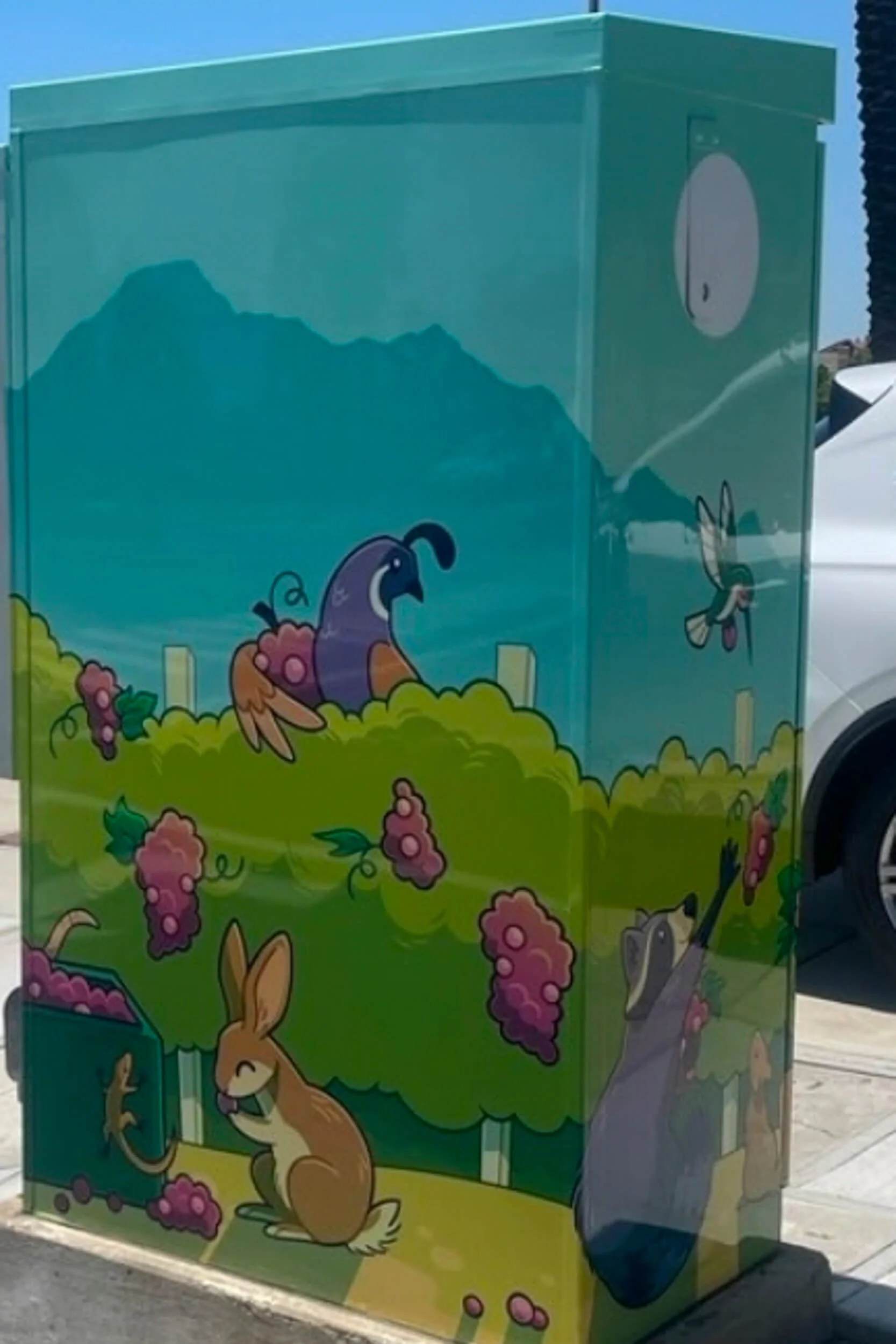 RanchoCucamongaCA_UtilityBoxes14.jpg