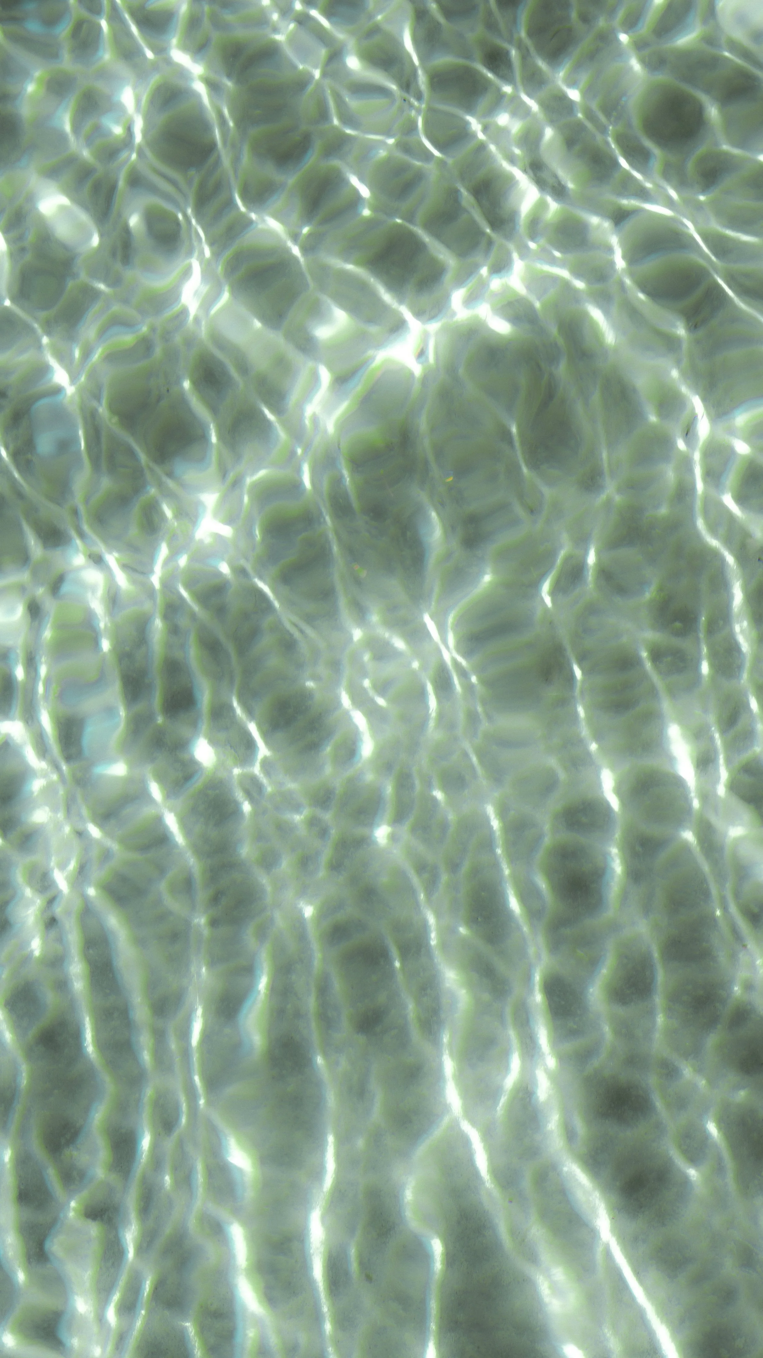 Beach-19.3.jpg